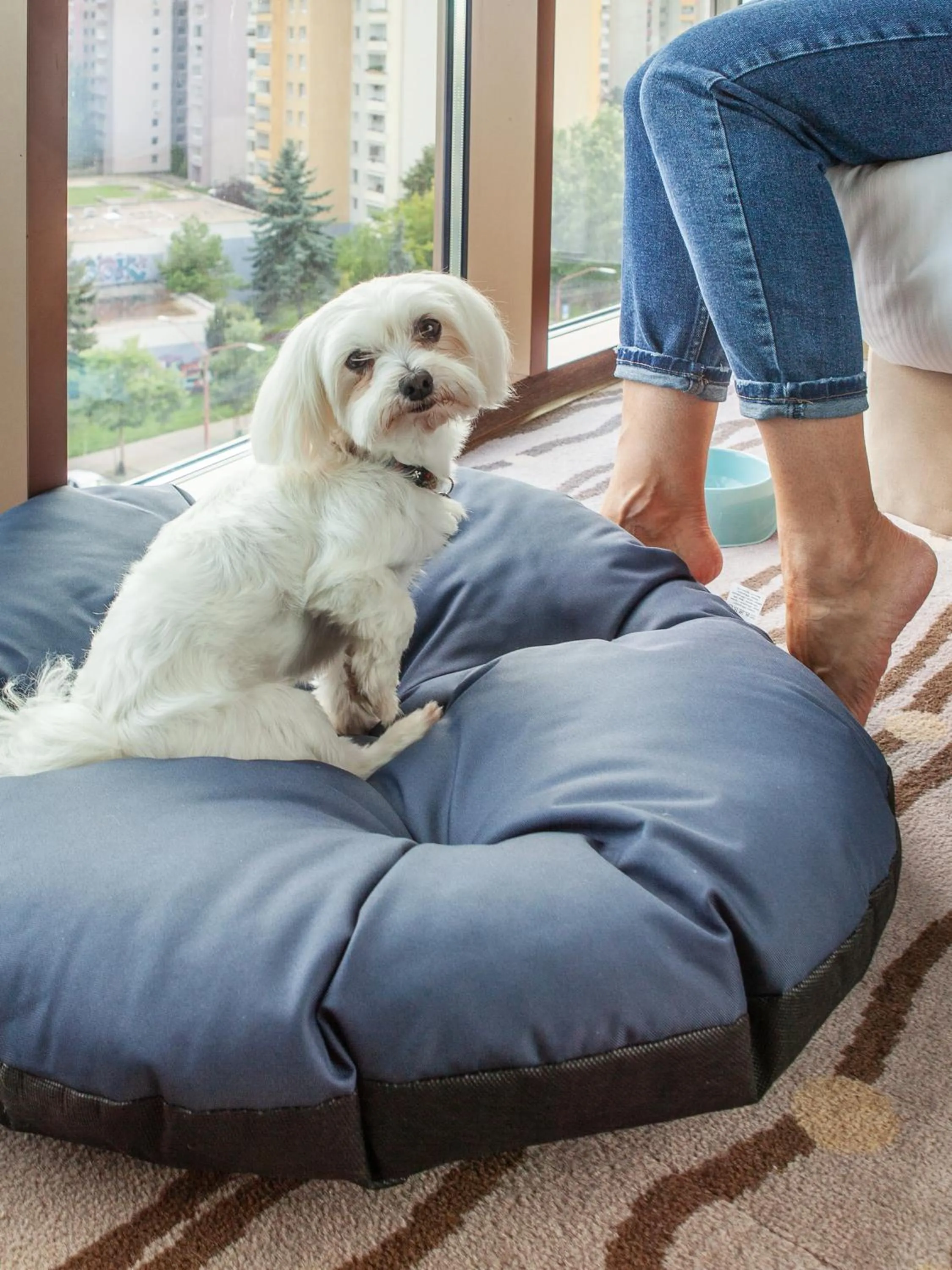 pet friendly in DoubleTree by Hilton Bratislava