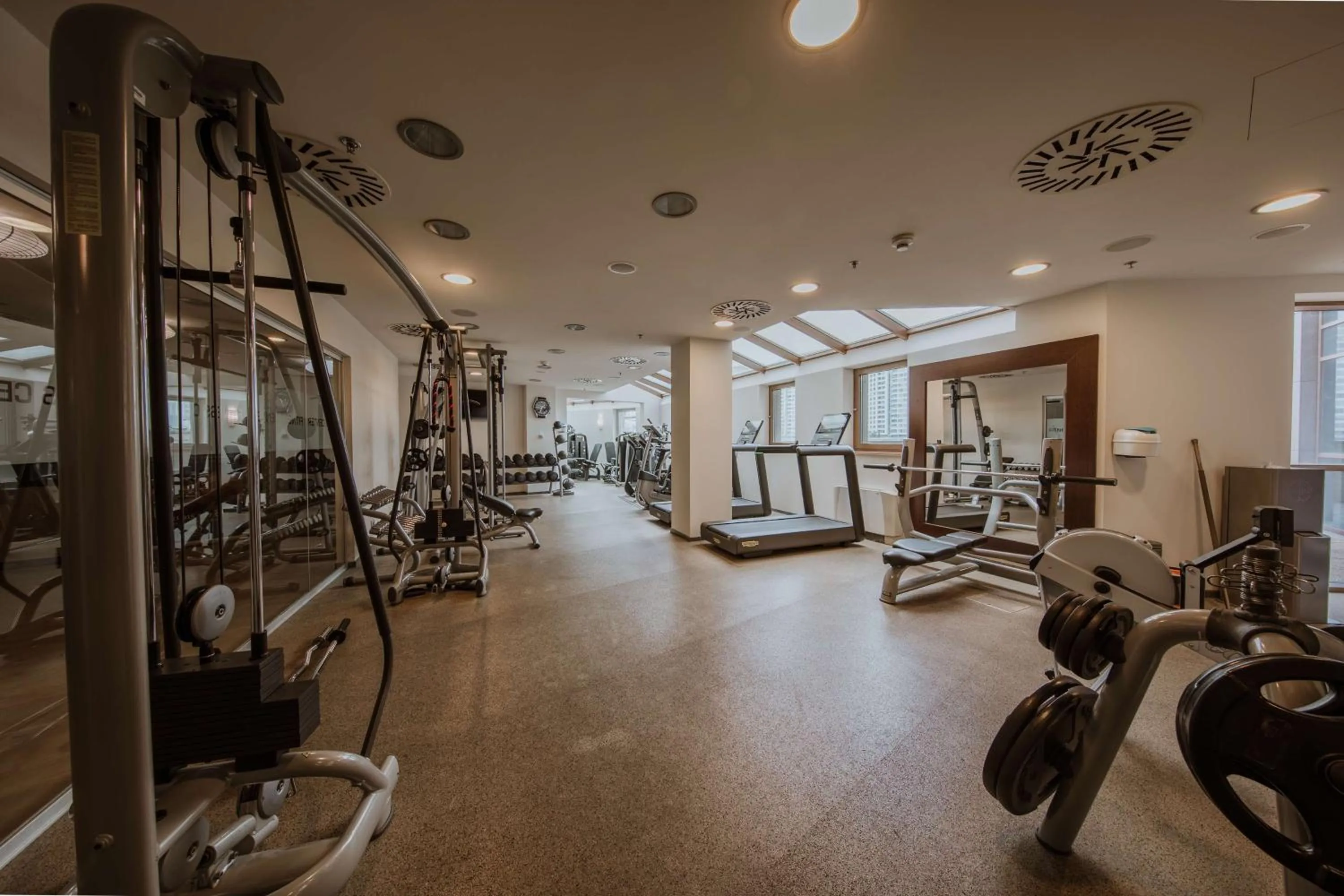 Fitness centre/facilities in DoubleTree by Hilton Bratislava