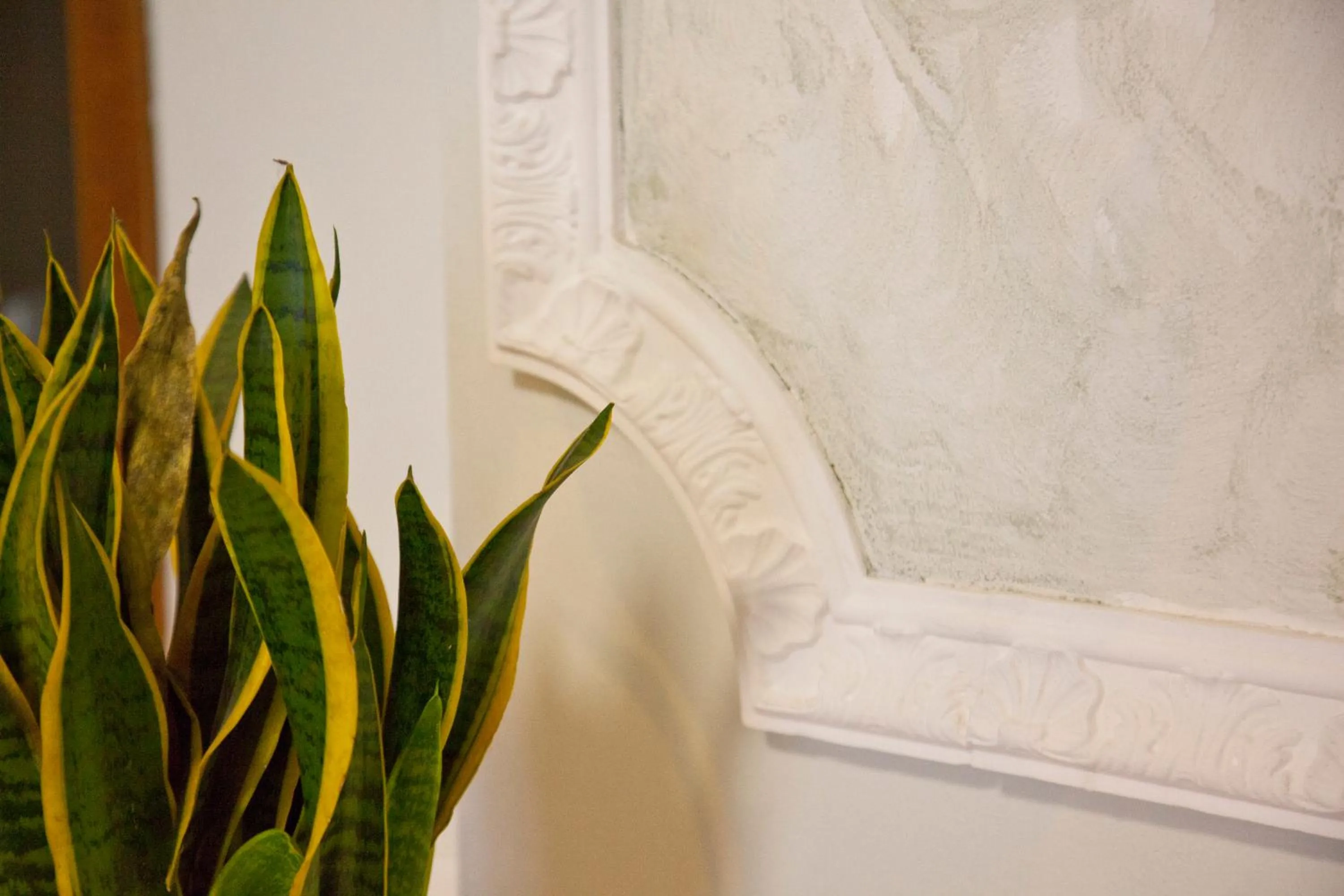 Living room, Bed in Hotel Tahiti