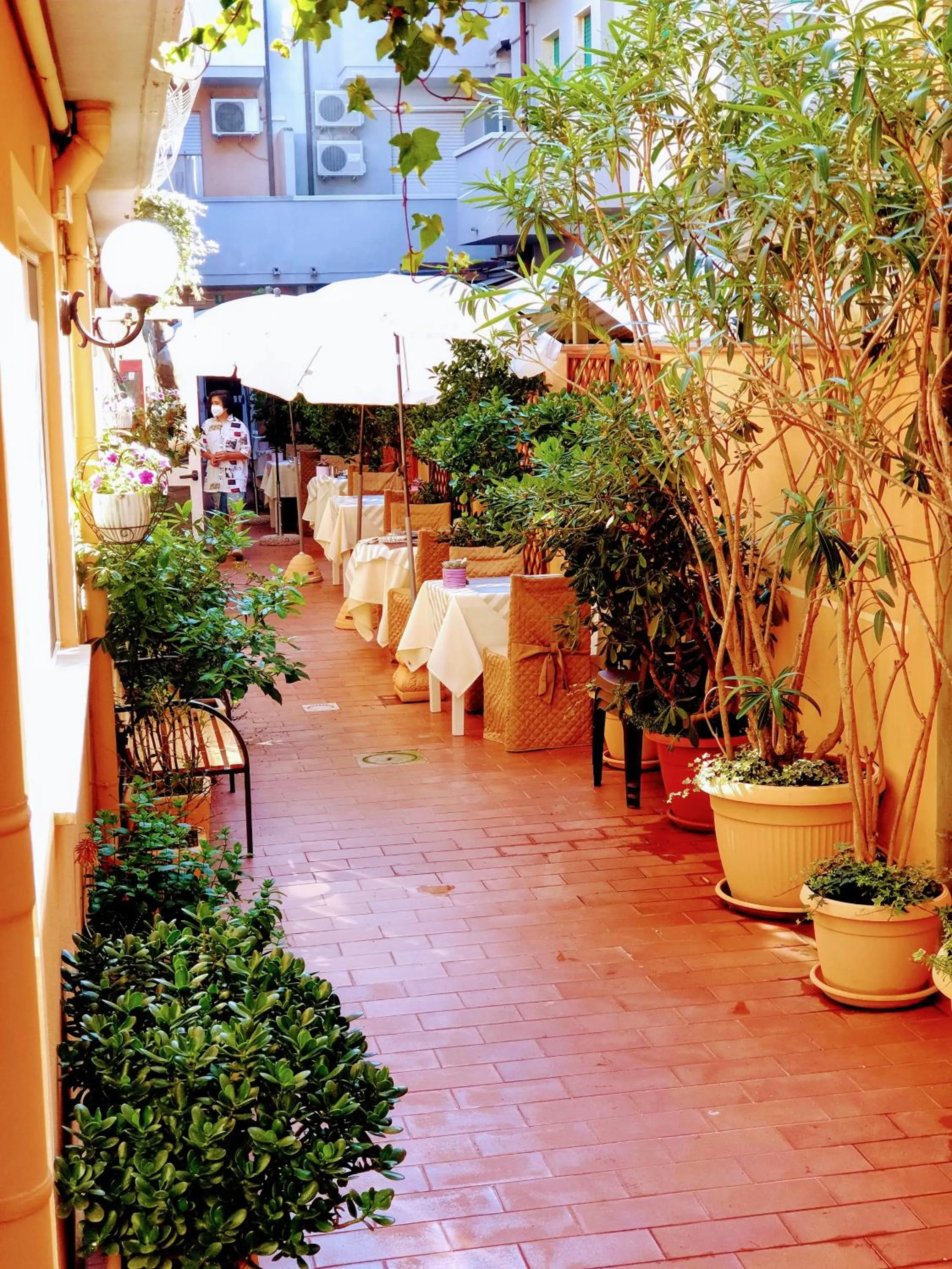 Garden in Hotel Tahiti