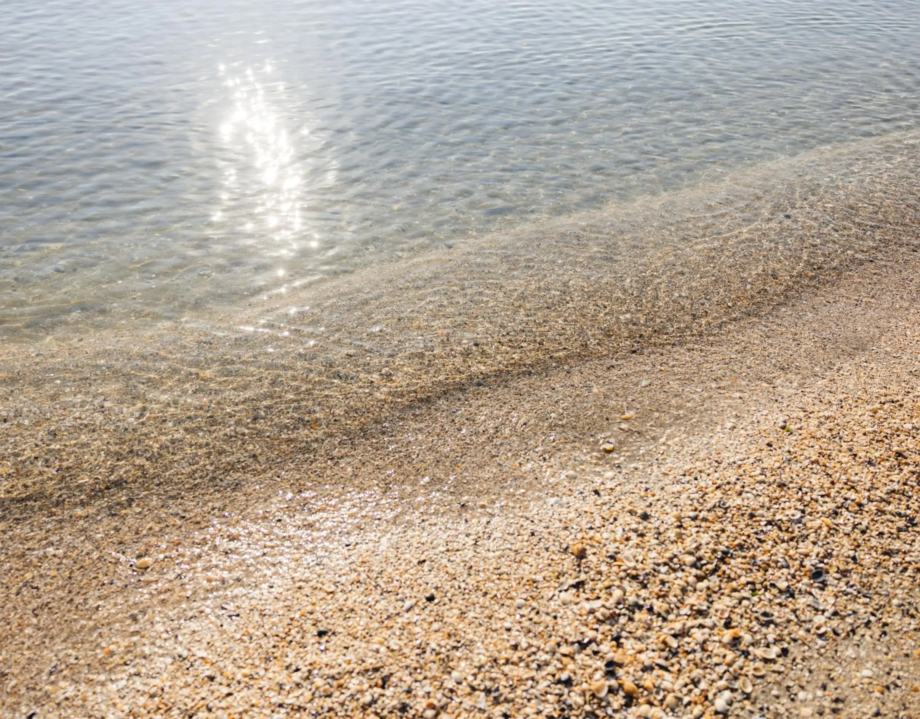 Day, Beach in Hotel Constellation