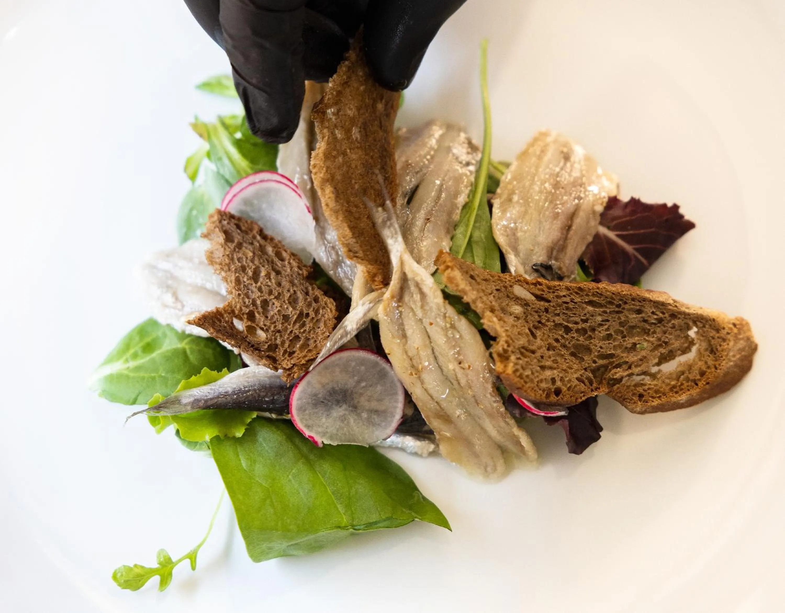 Restaurant/places to eat in Hotel Constellation