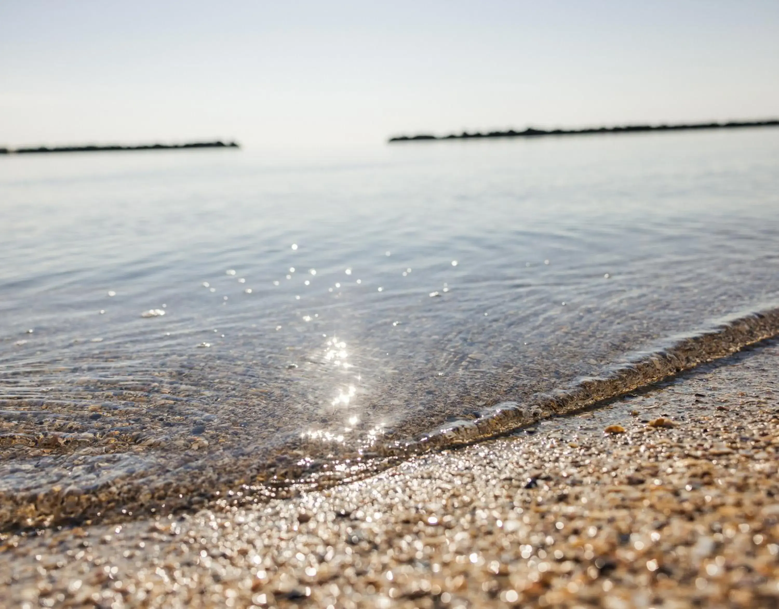 Day, Beach in Hotel Constellation