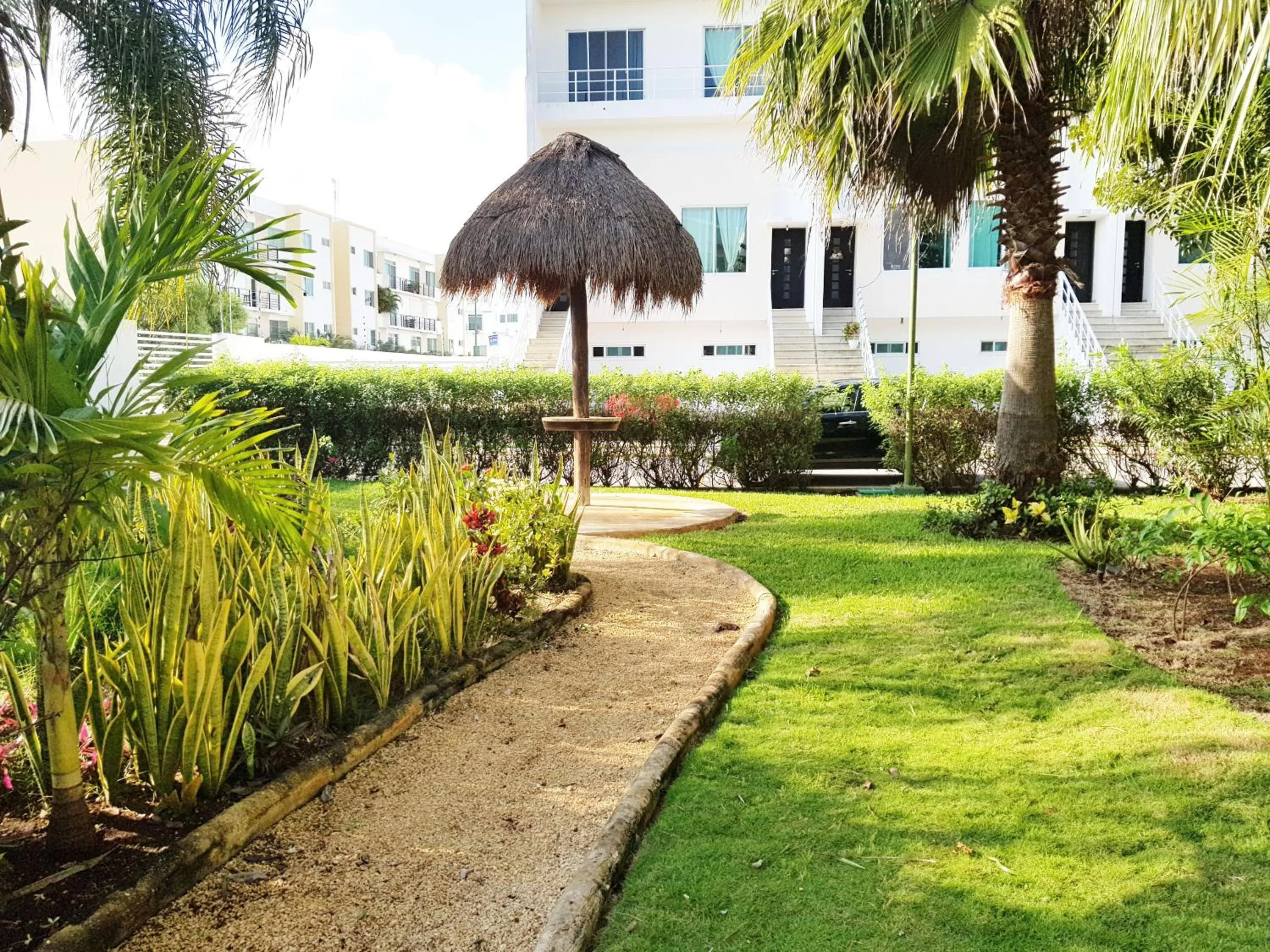 Garden in Geek-Chic Townhouse