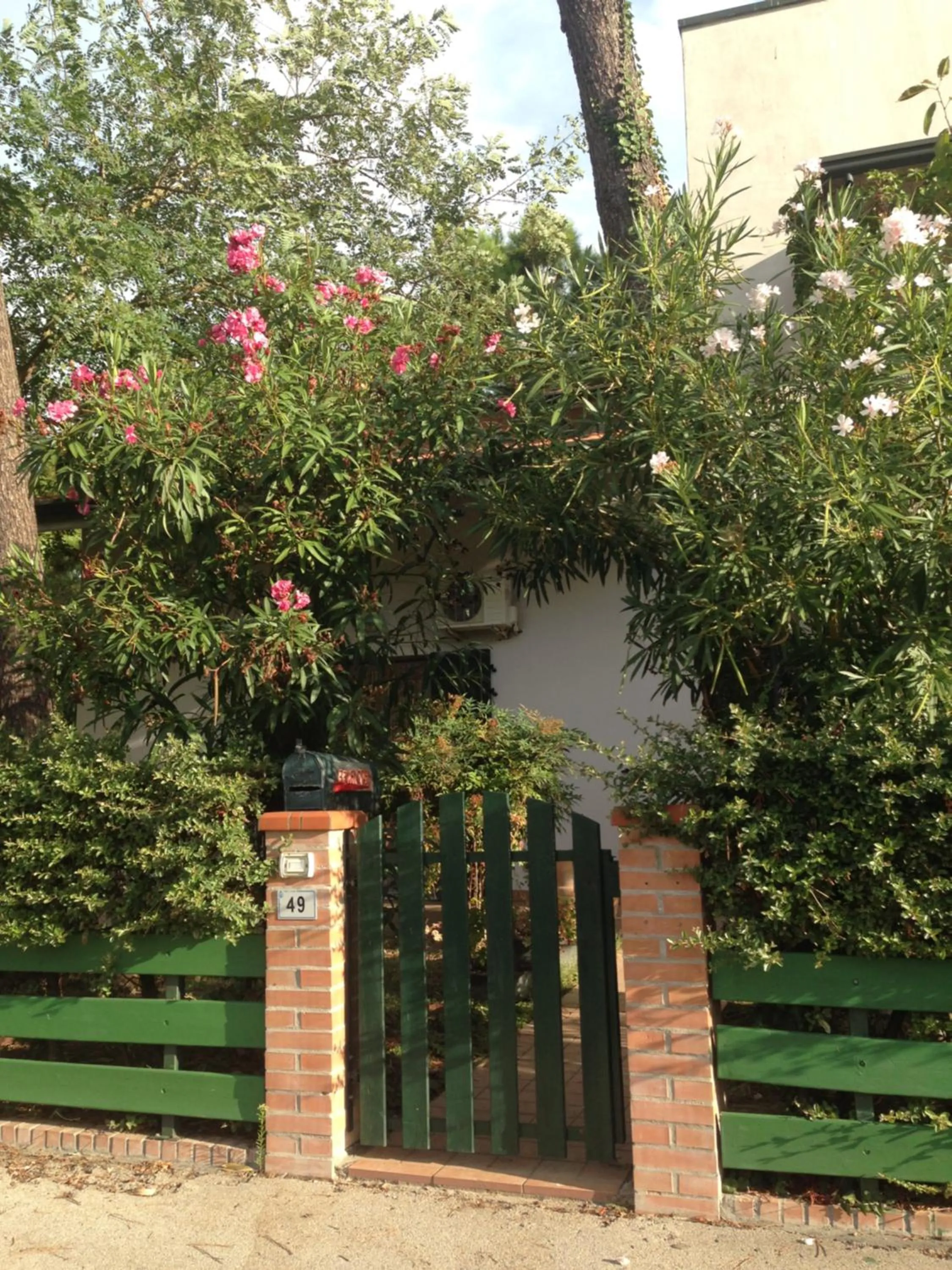 Bird's-eye View in B&B Amici Miei