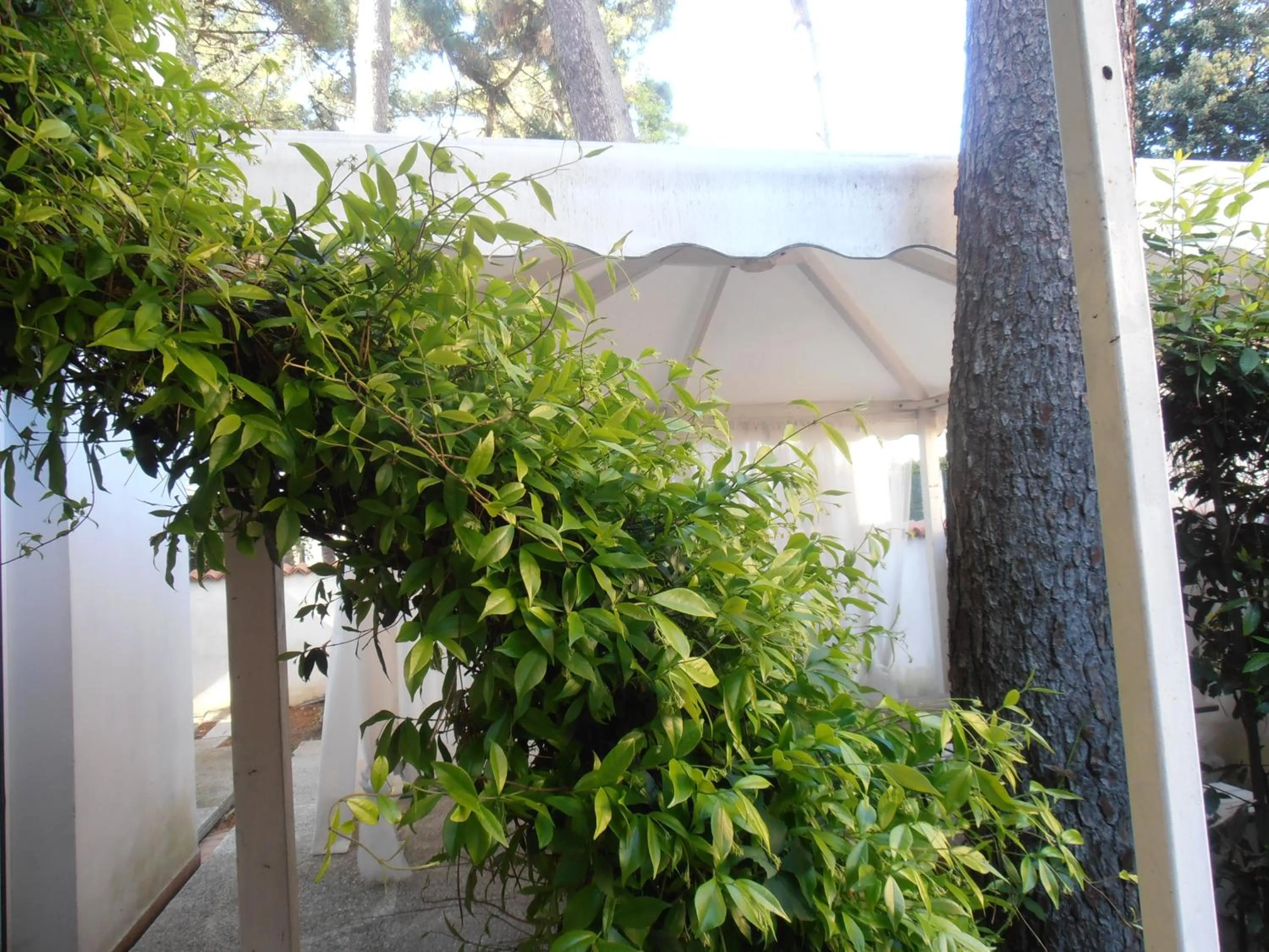 Garden, Property Building in B&B Amici Miei