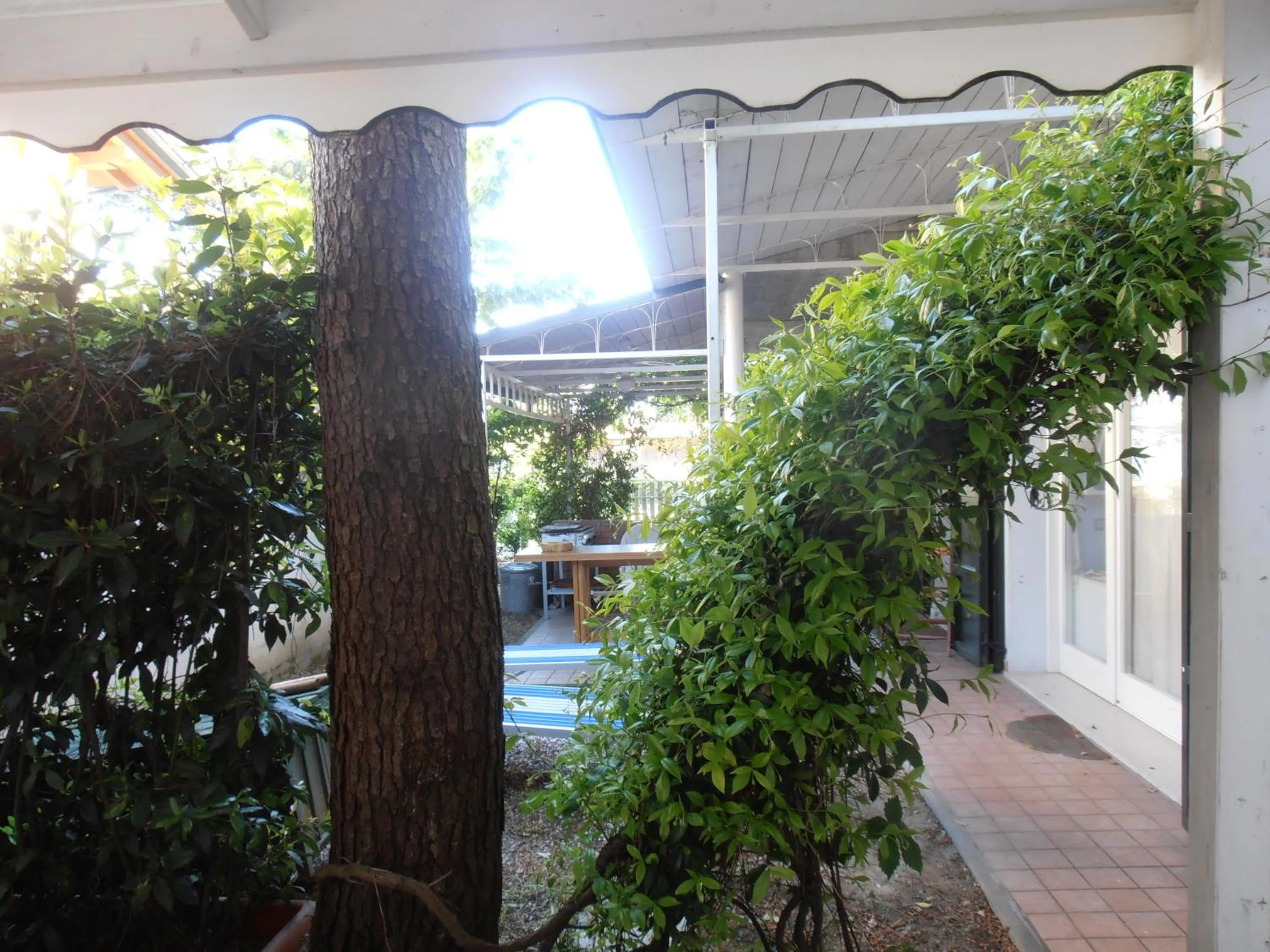 Garden in B&B Amici Miei