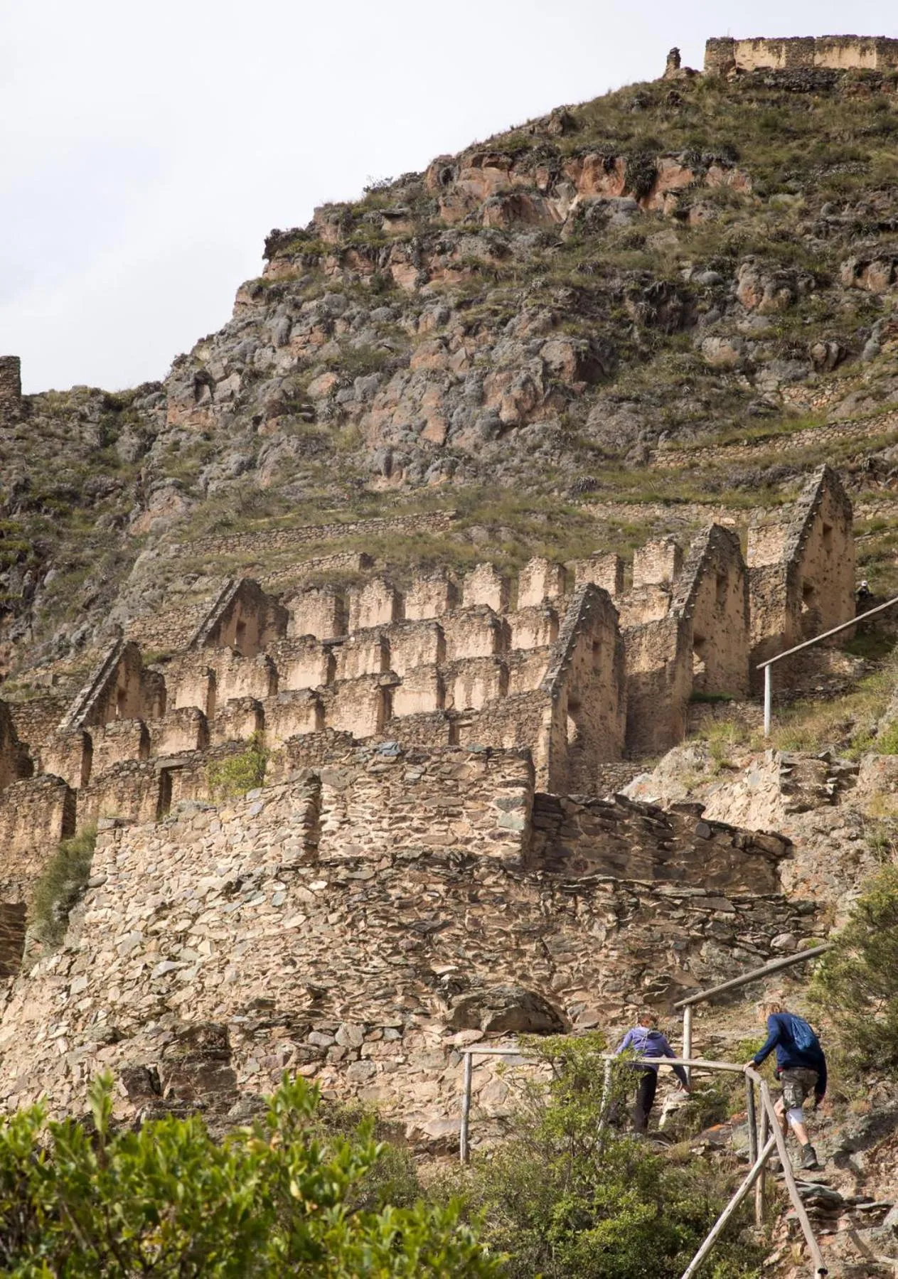 Natural landscape in SAUCE Hotel Boutique