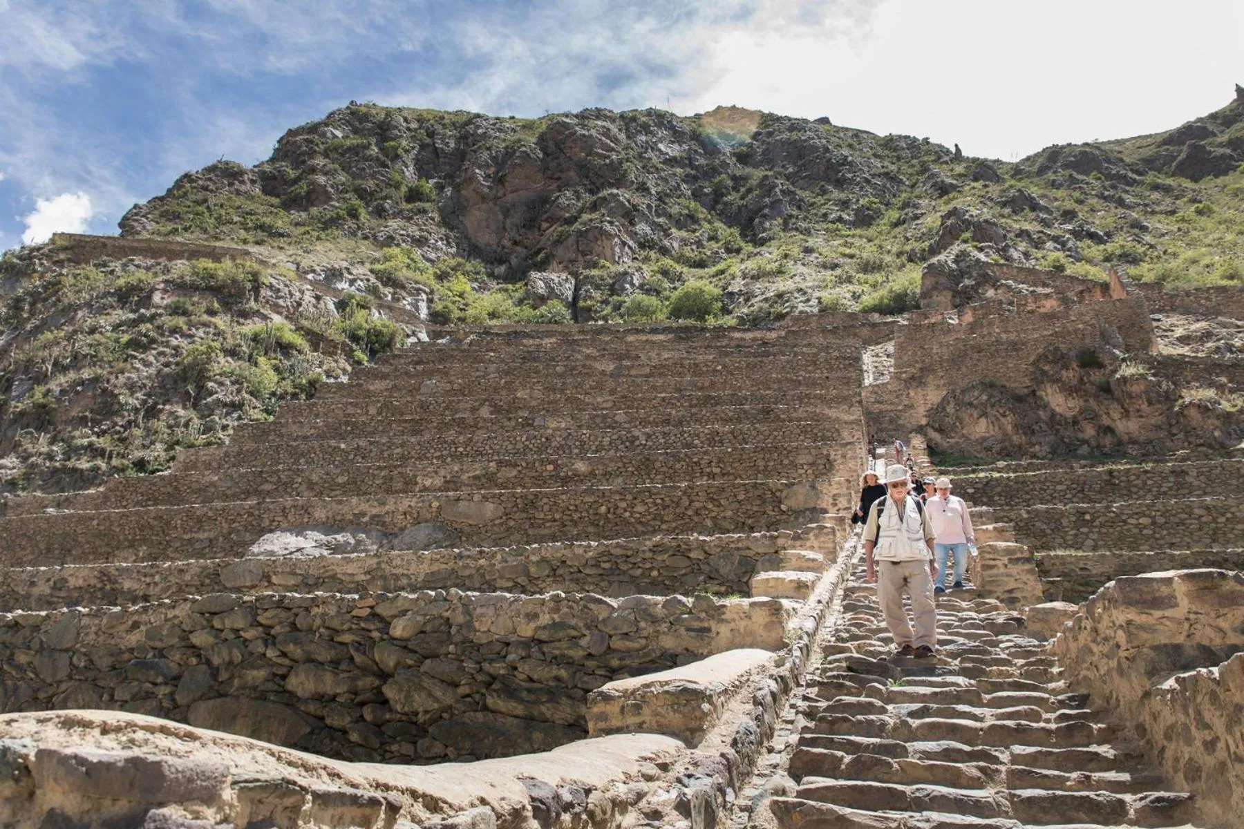 Natural landscape in SAUCE Hotel Boutique