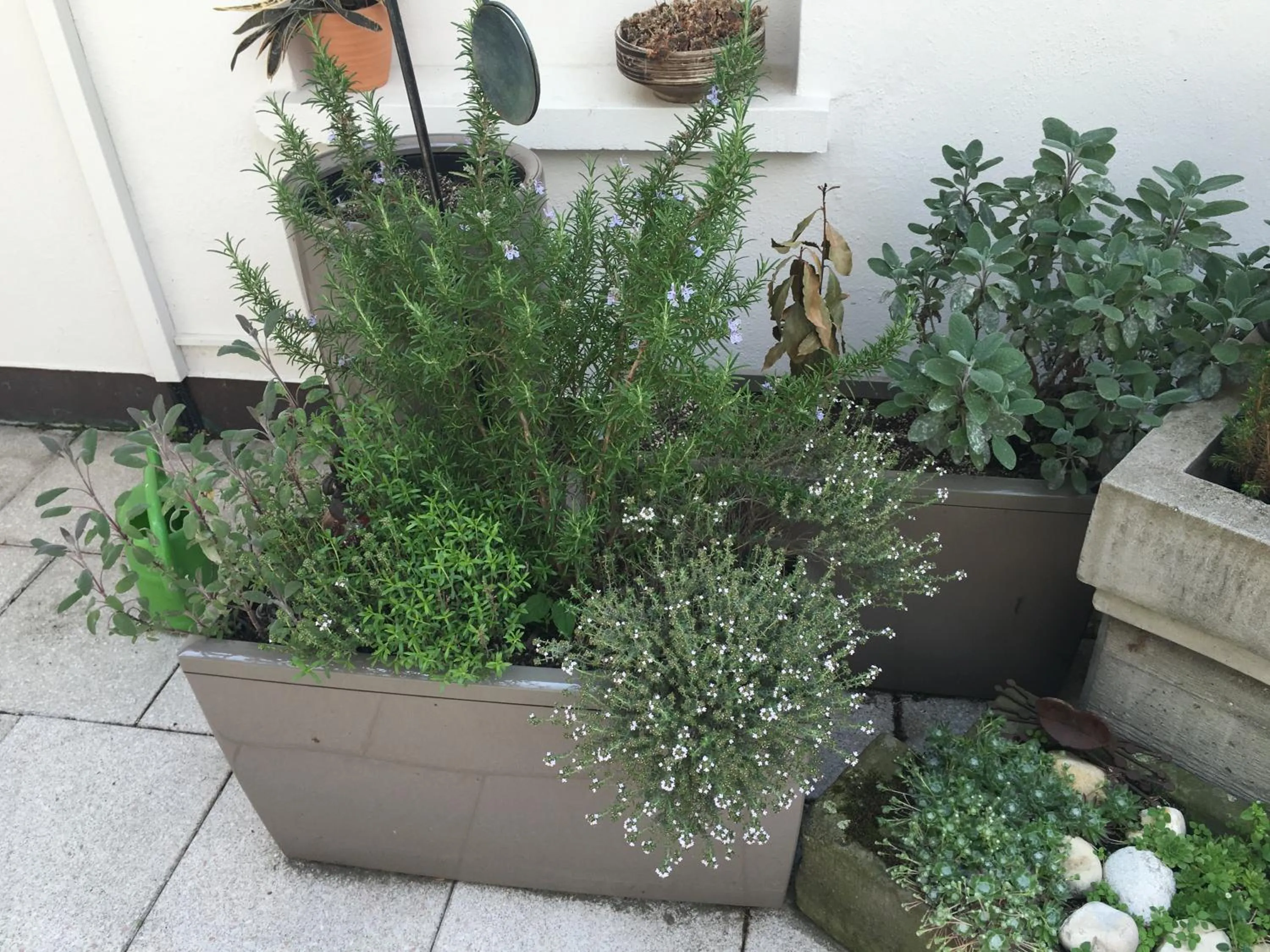 Mangolds Boutique Hotel & Fruehstuecksmeisterei