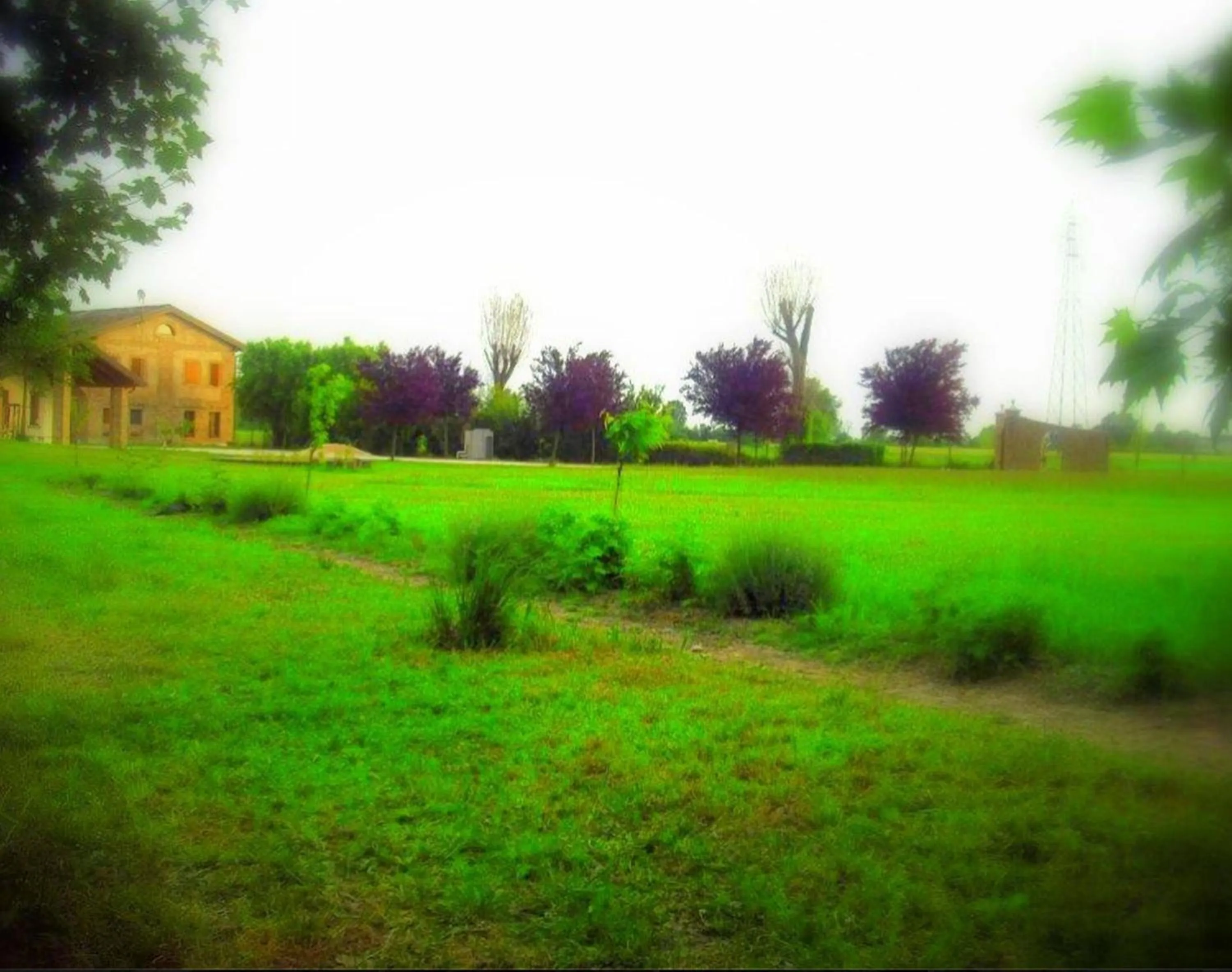 Natural landscape in La Garzaga Turismo Rurale