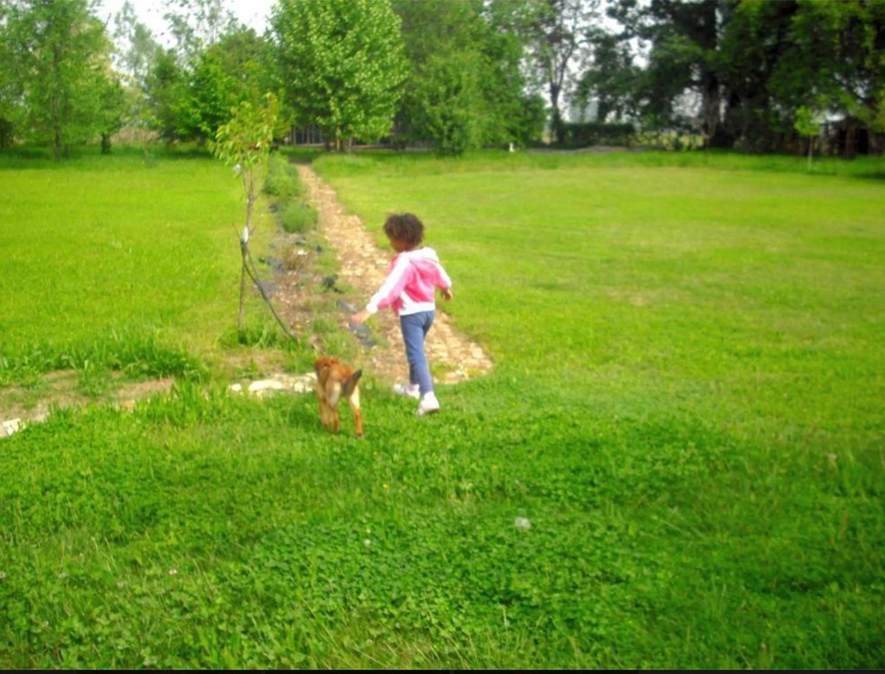 Garden in La Garzaga Turismo Rurale
