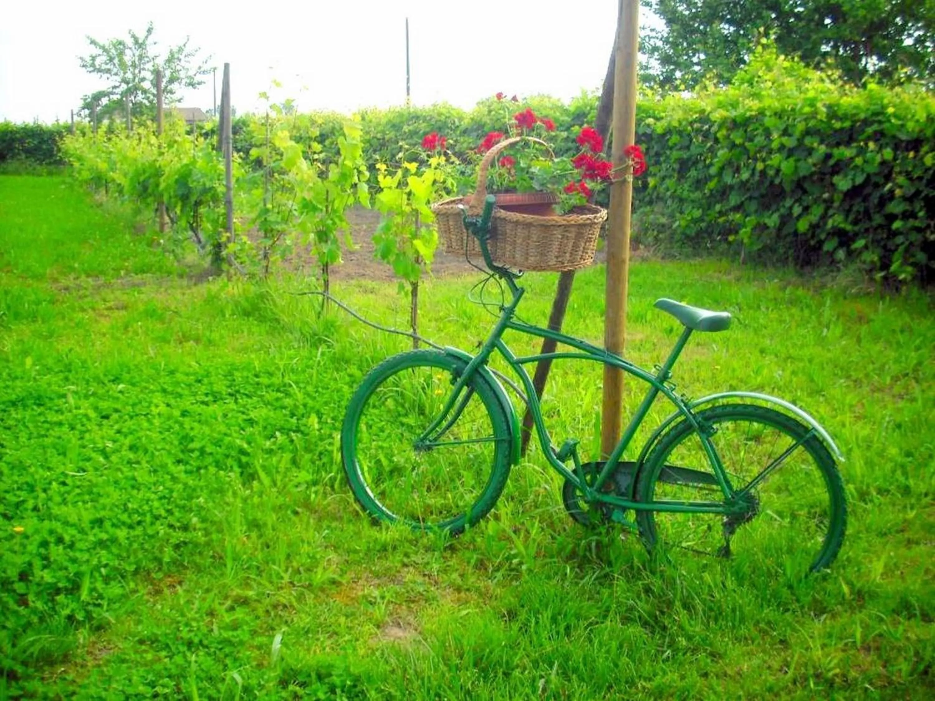 Garden in La Garzaga Turismo Rurale