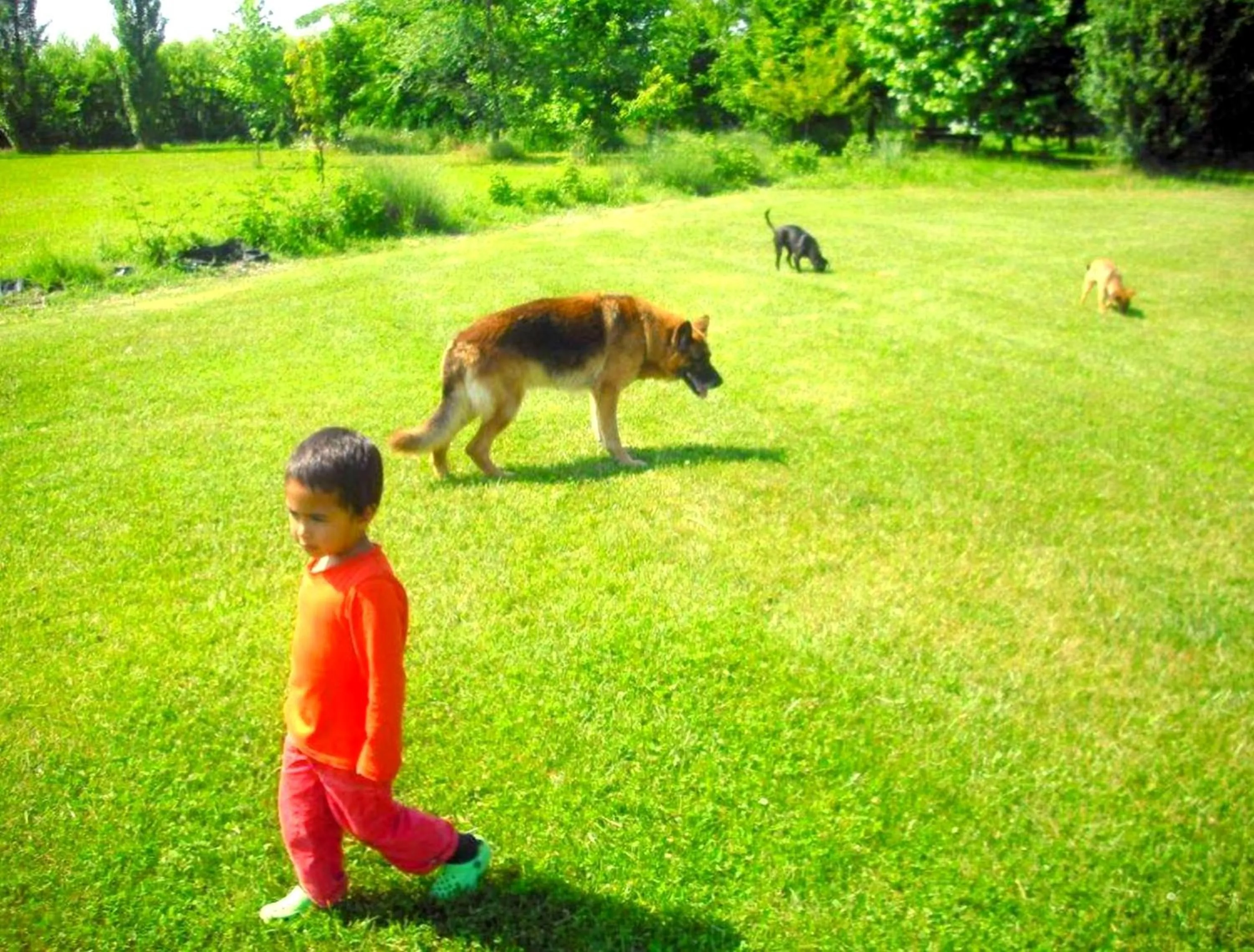 On site in La Garzaga Turismo Rurale