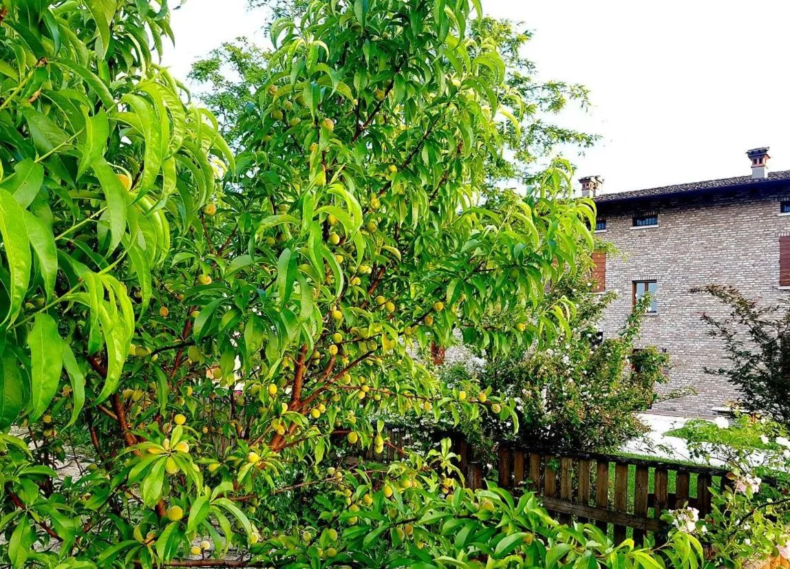 Garden view in La Garzaga Turismo Rurale
