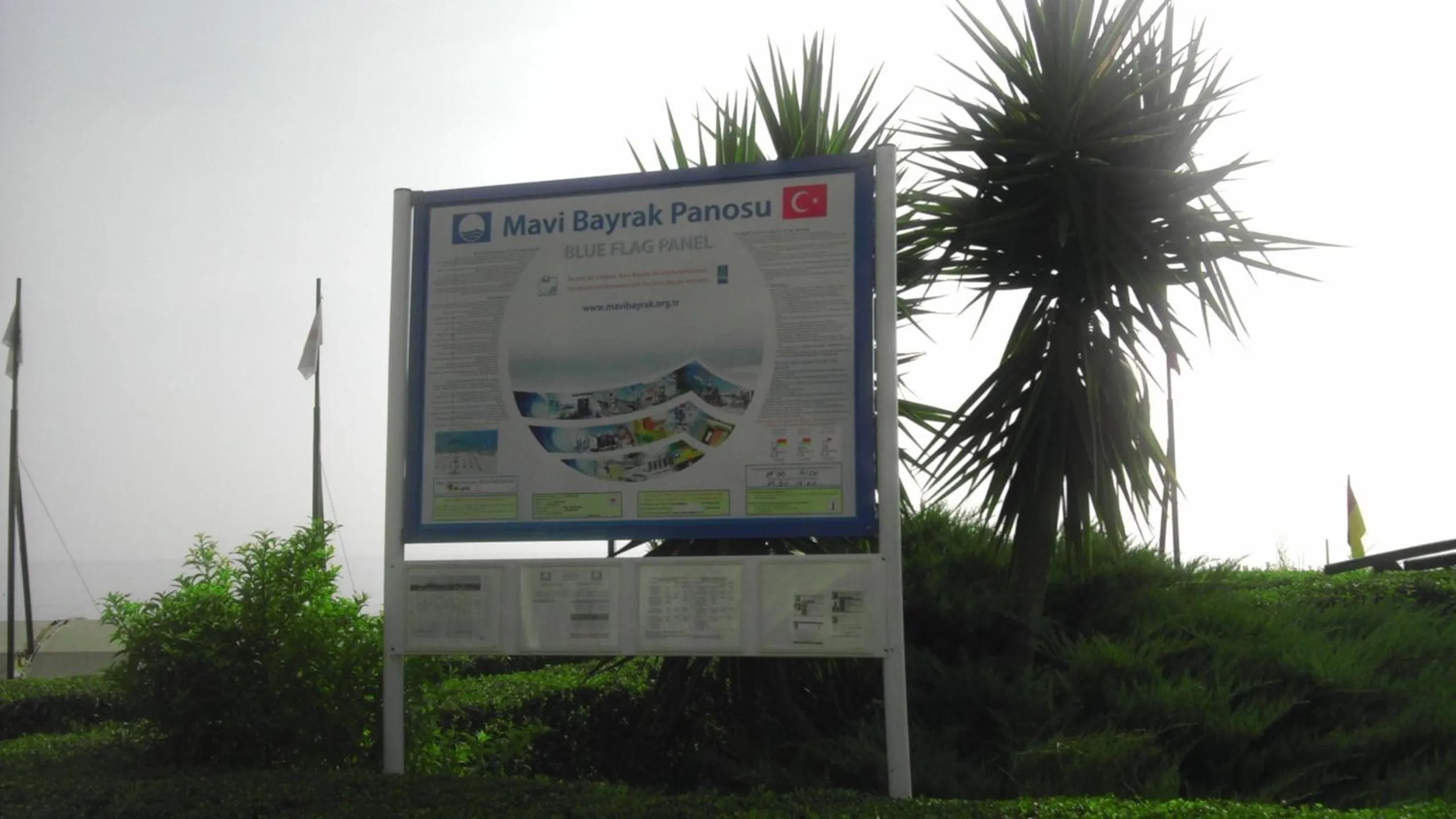 Other in Romeo Beach Hotel