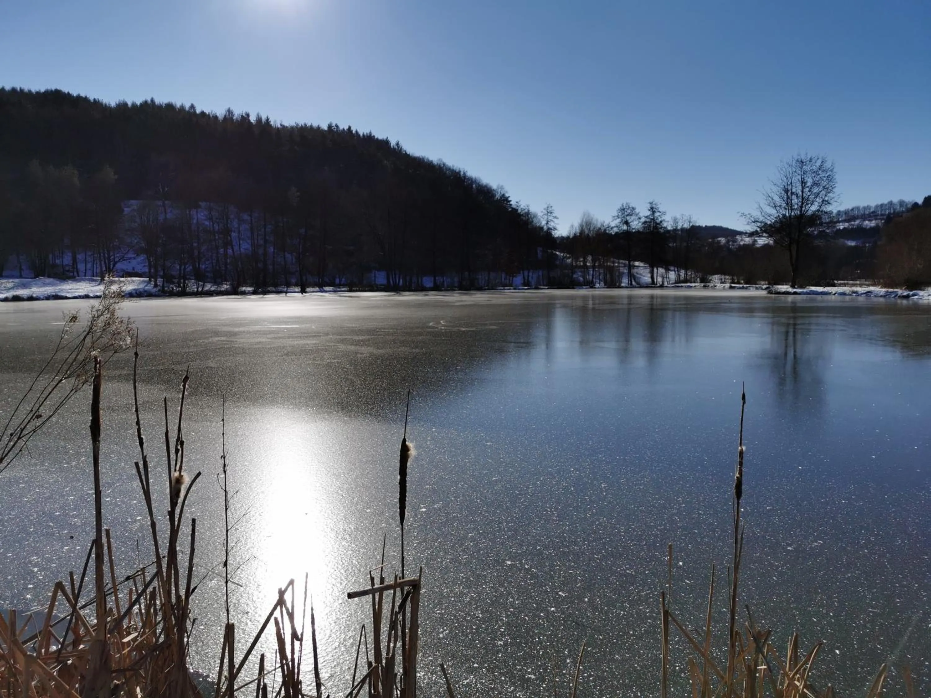 Natural landscape in Landhotel Ölmühle