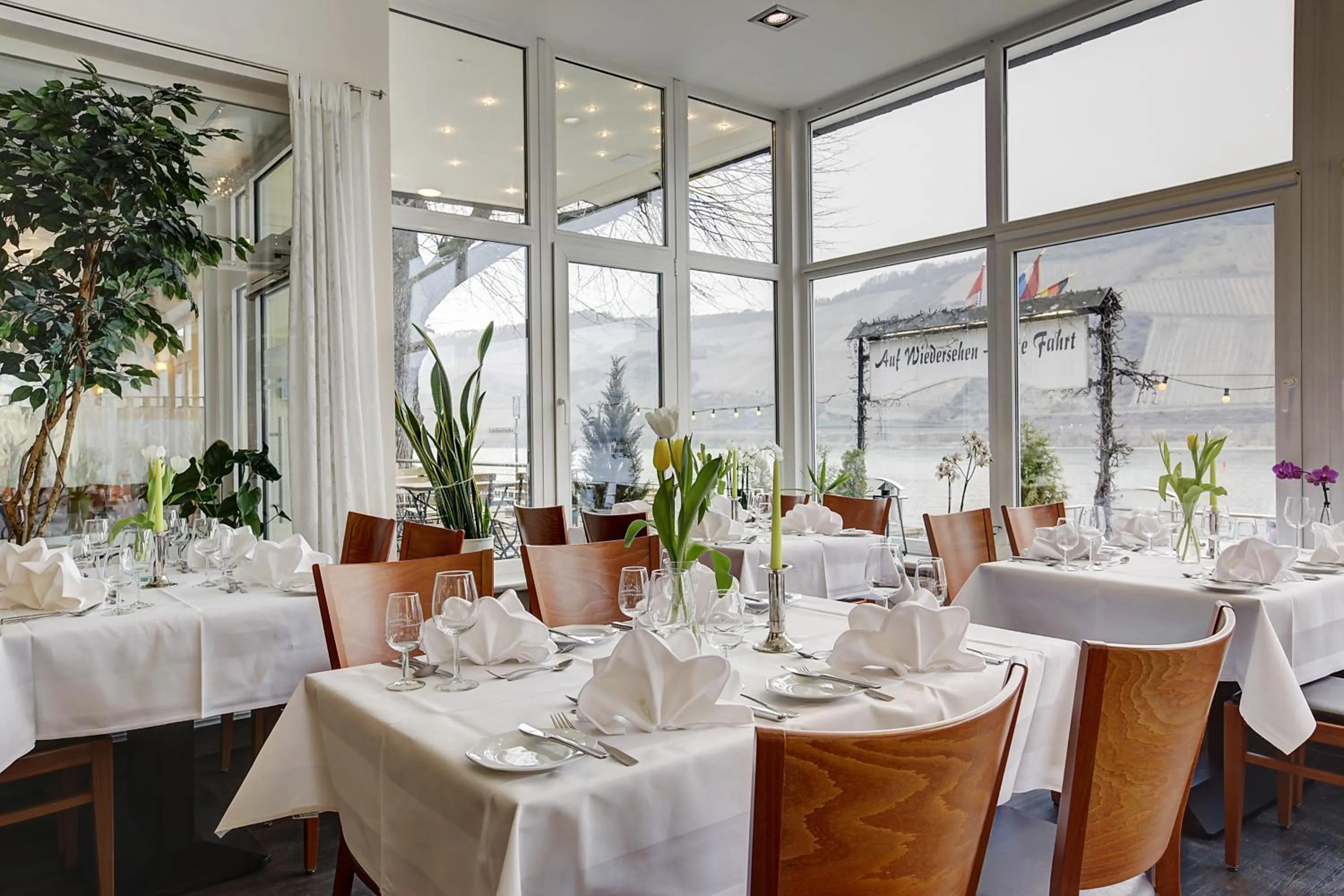 Restaurant/places to eat in Lindenhof