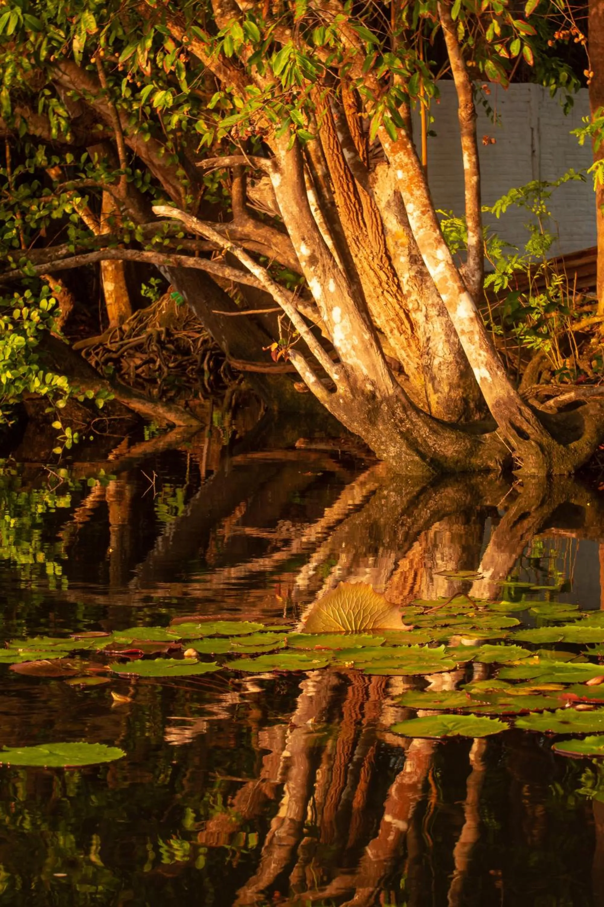 River view in Orla Nautica