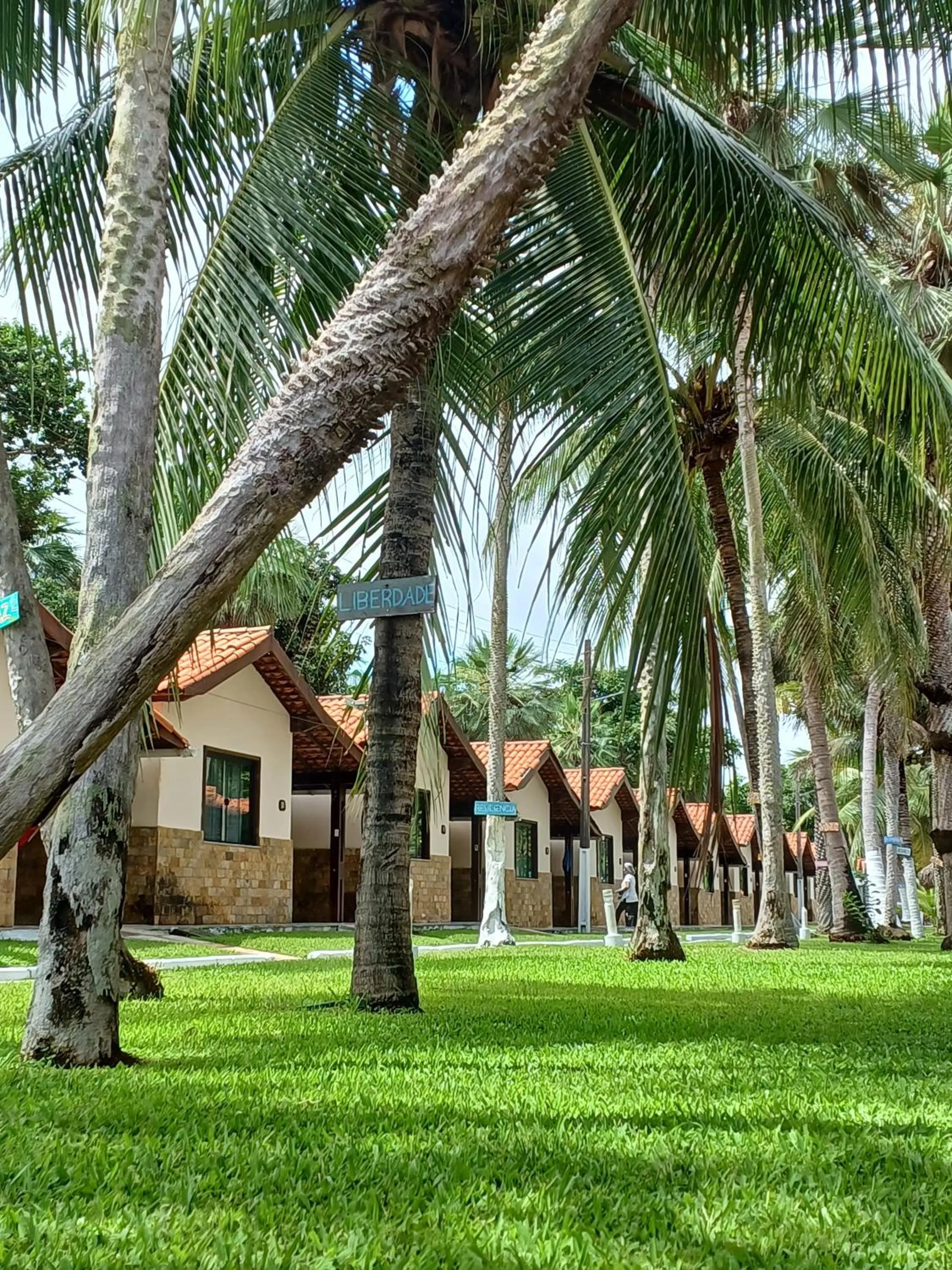 Property building in Orla Nautica