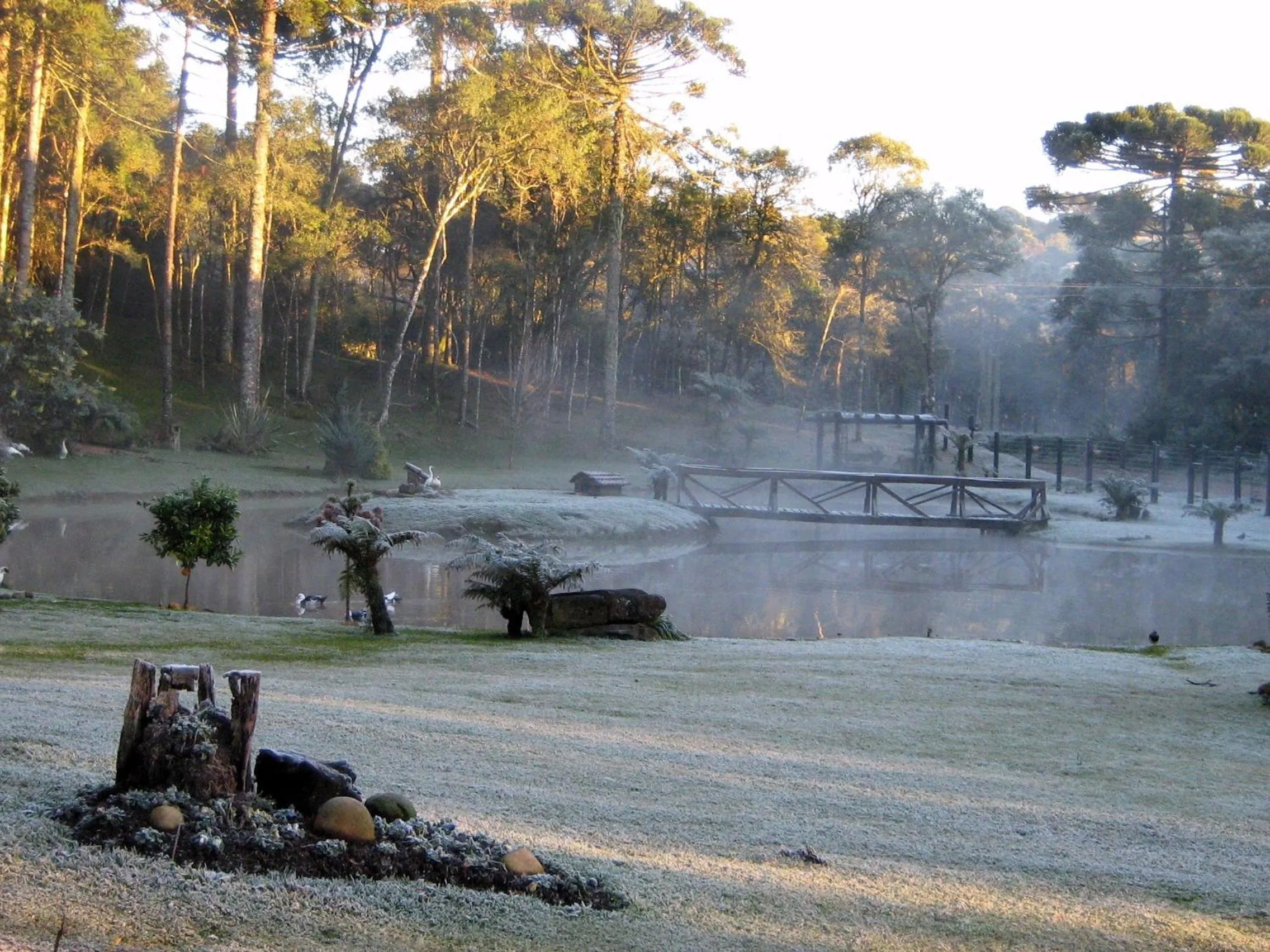 Natural landscape in Estalagem Coração Da Mata