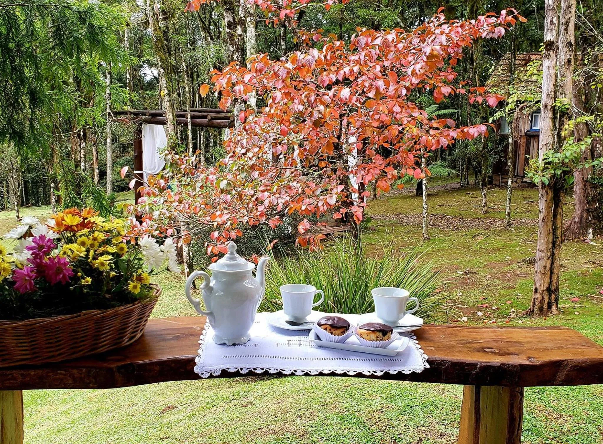 Patio in Estalagem Coração Da Mata