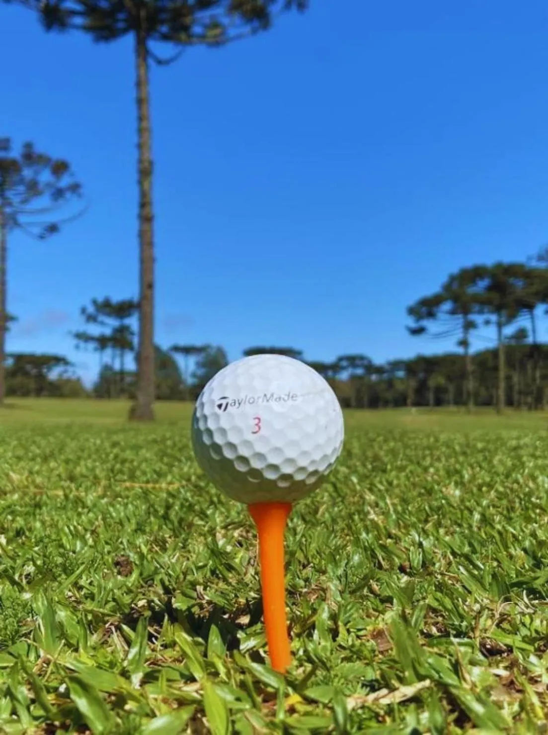 Golfcourse in Estalagem Coração Da Mata