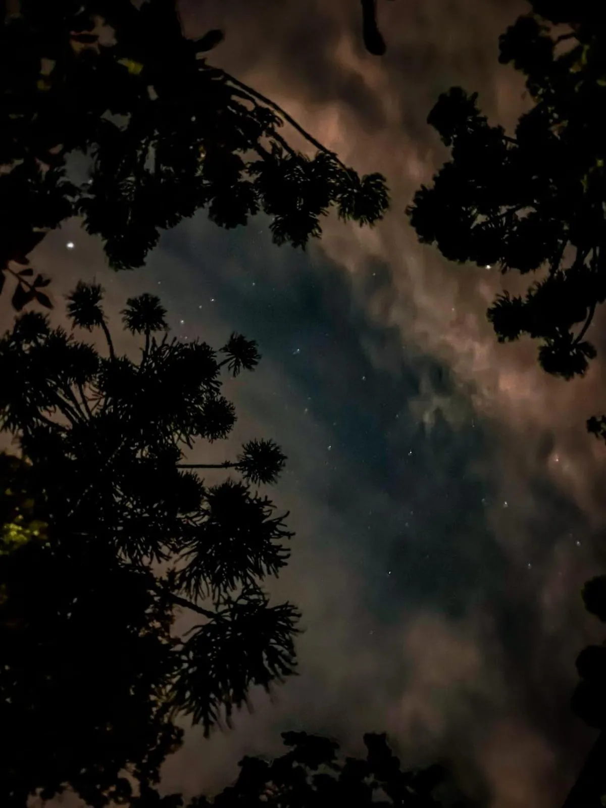 Night in Estalagem Coração Da Mata