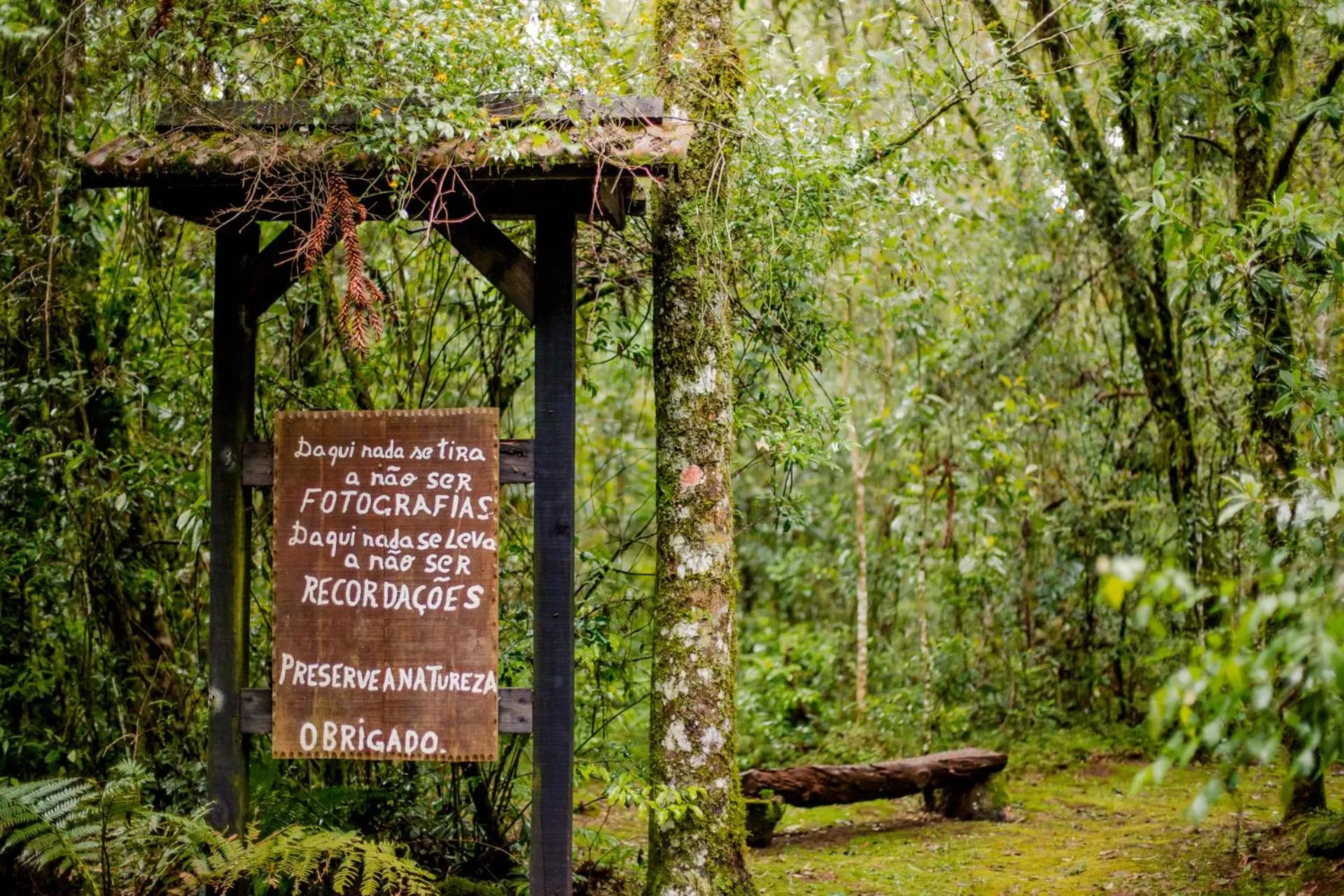 Natural landscape in Estalagem Coração Da Mata
