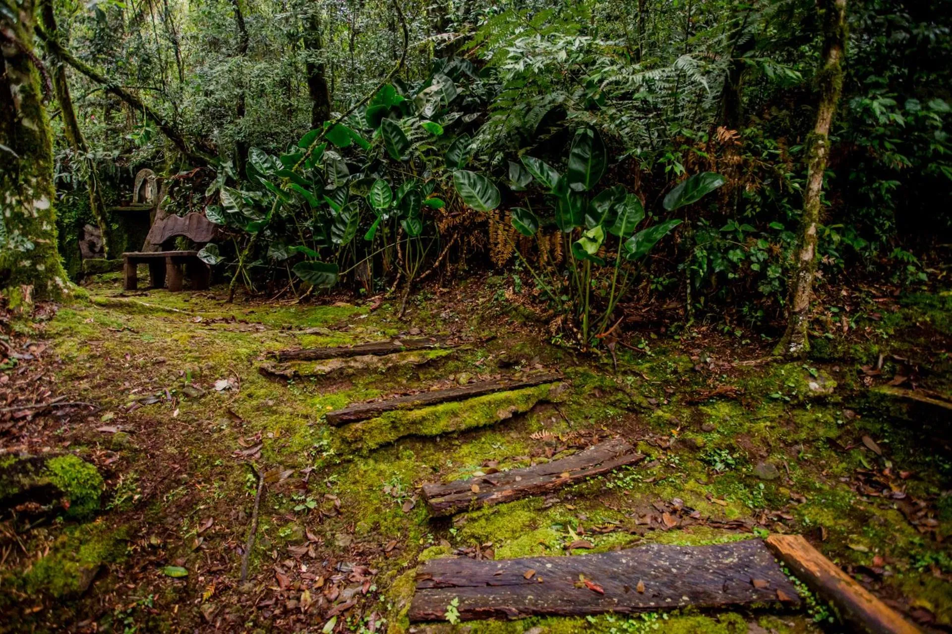 Natural landscape in Estalagem Coração Da Mata