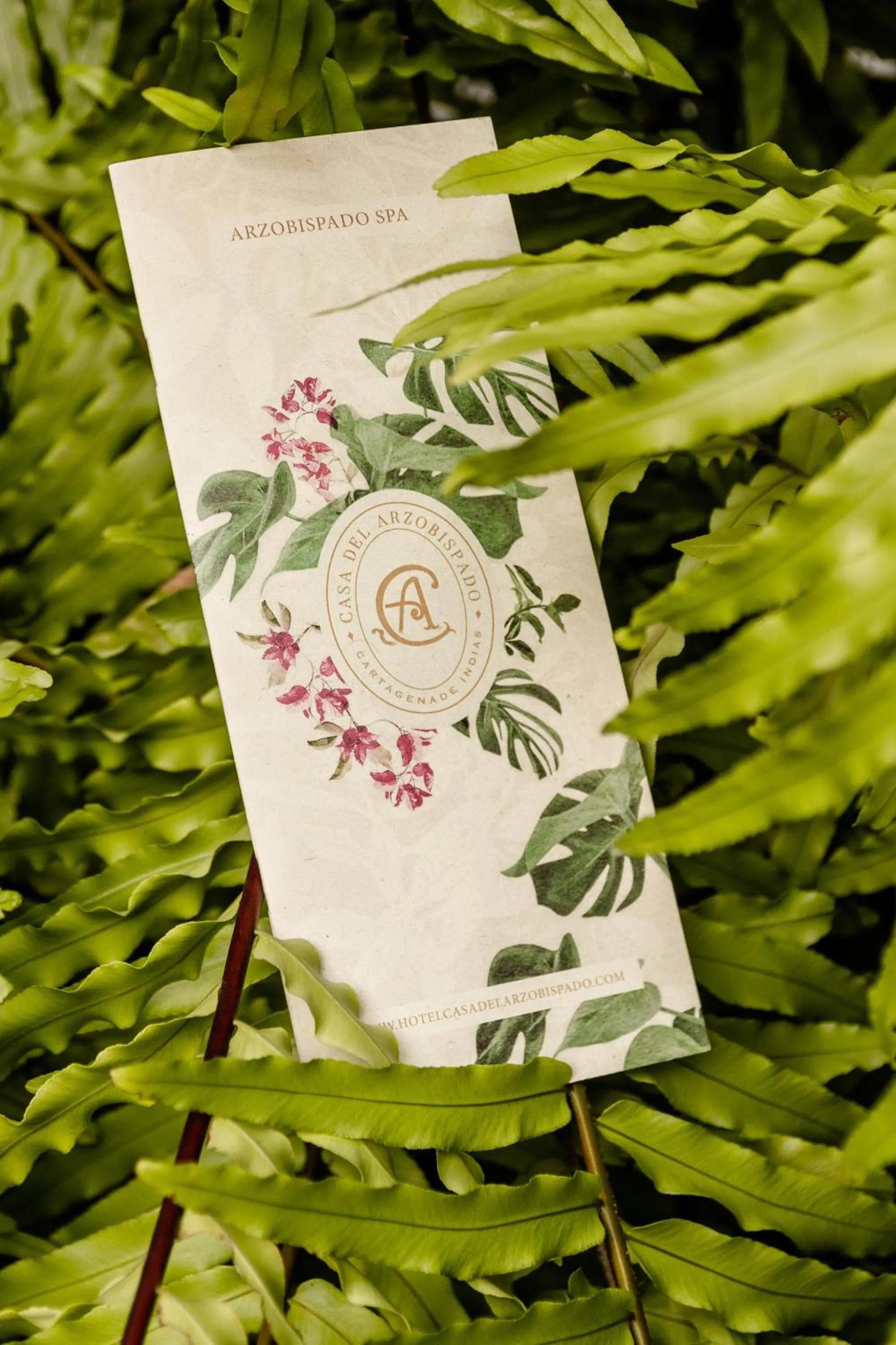 On site in Hotel Boutique Casa Del Arzobispado