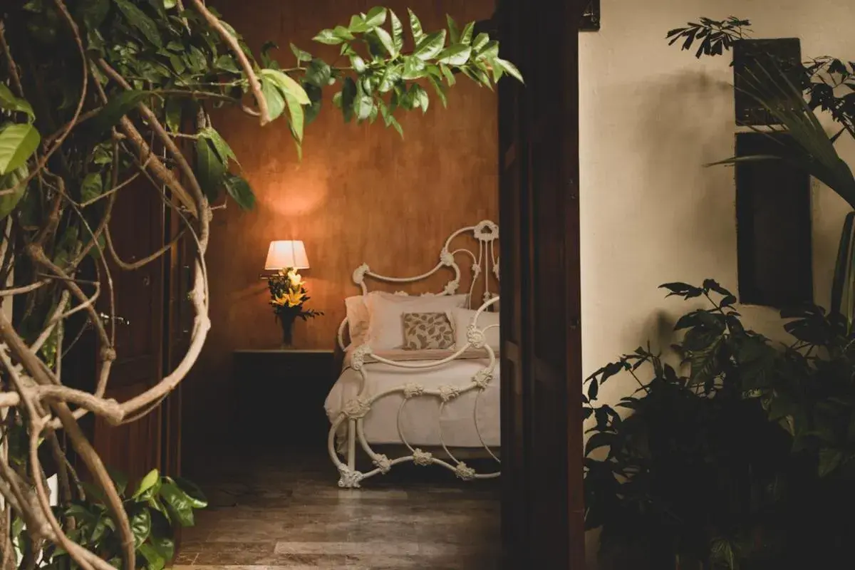 Garden view in Hotel Boutique Casa Del Arzobispado Garden view in Hotel Boutique Casa Del Arzobispado