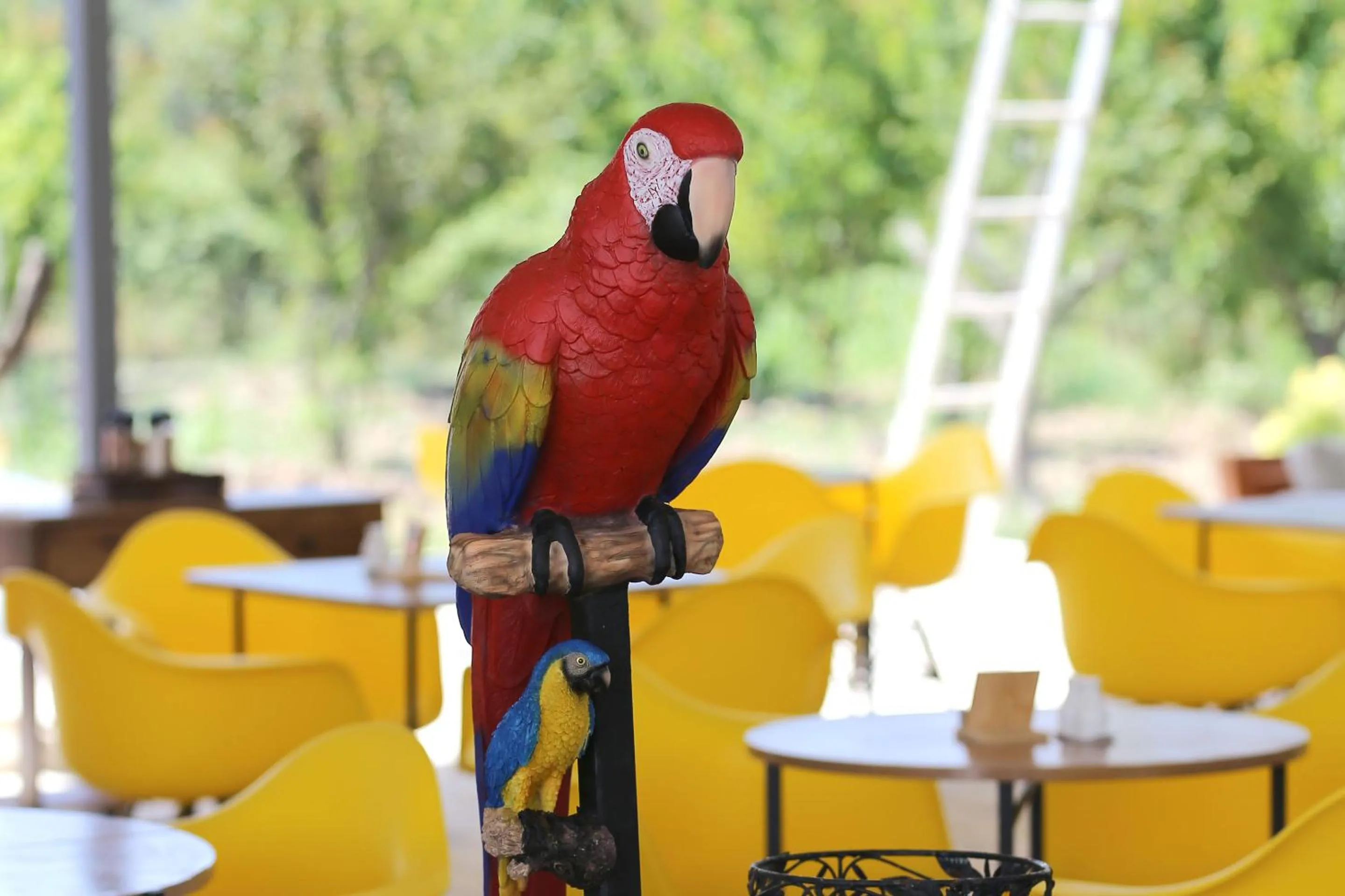 Lounge or bar in simlarda aquapark otel