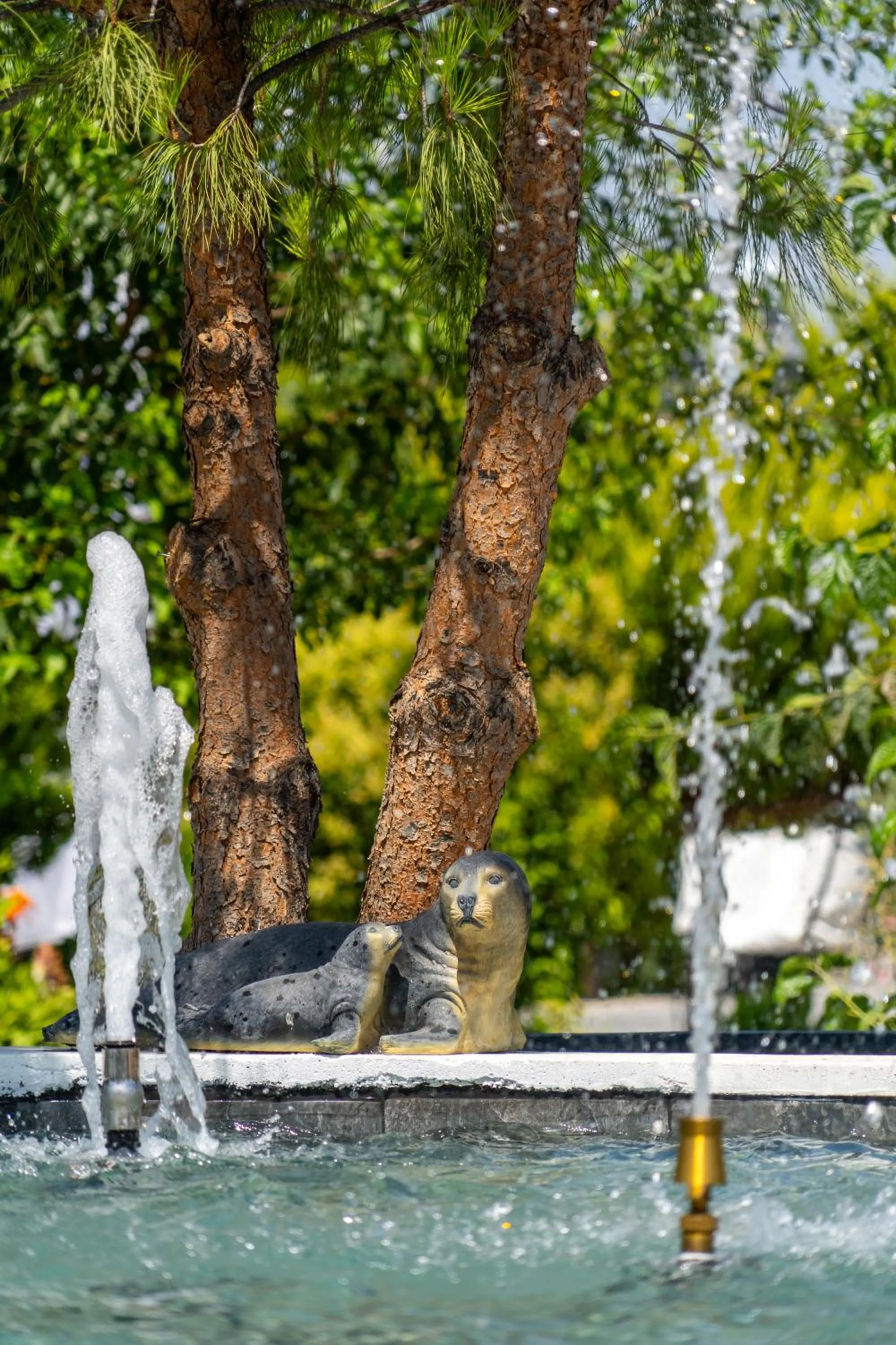 simlarda aquapark otel