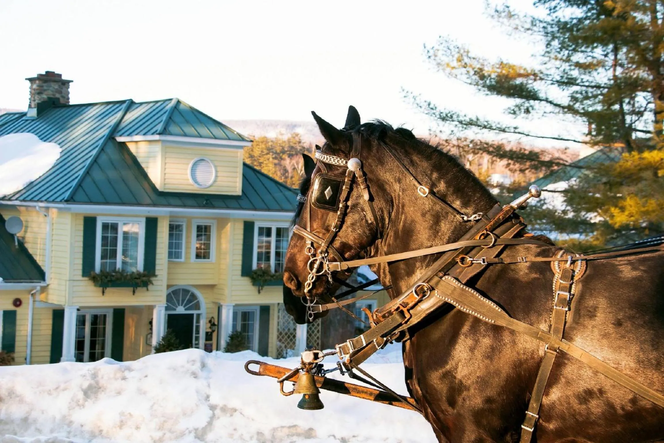 Activities in Ripplecove Hotel & Spa