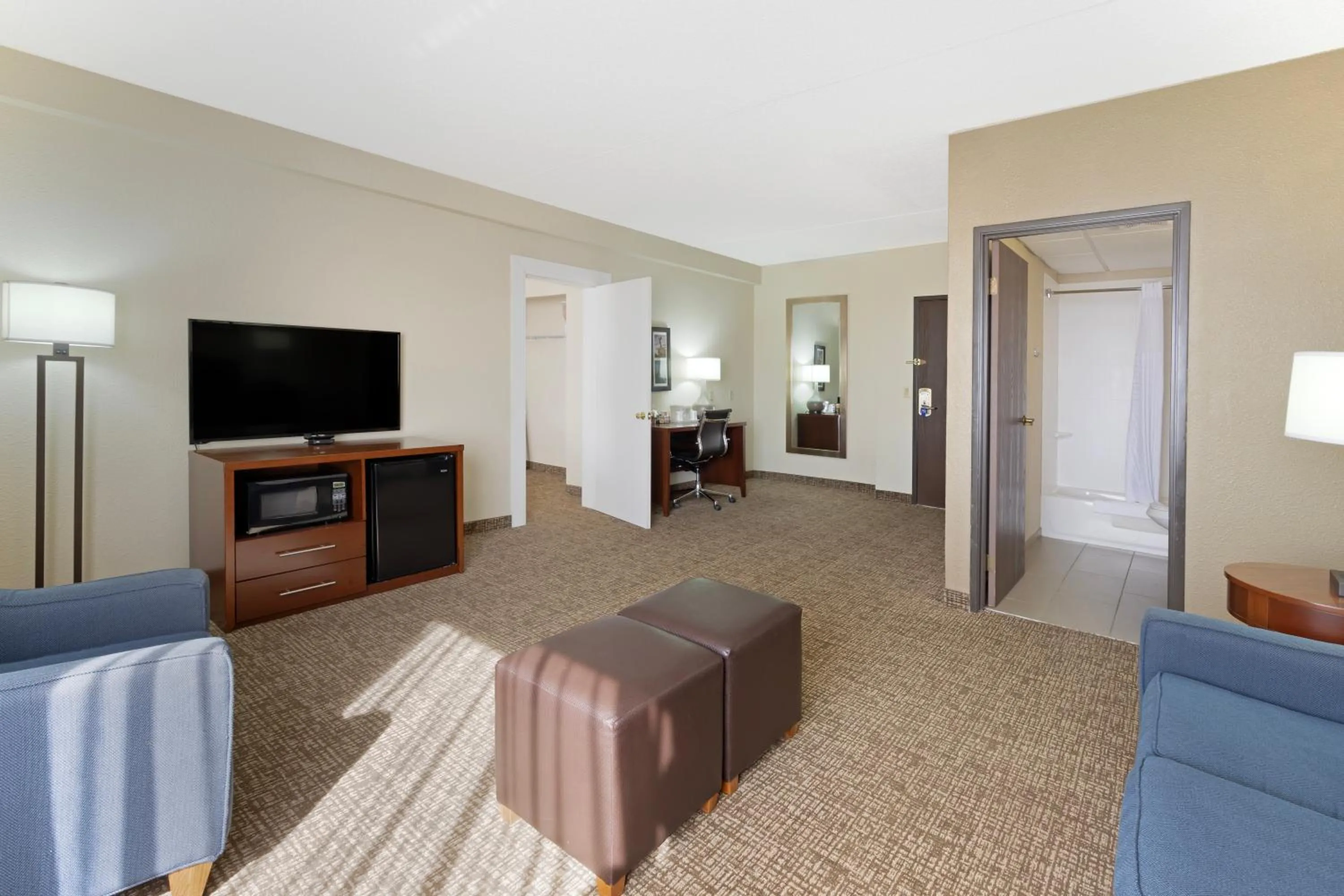 TV and multimedia in Comfort Inn & Suites Wichita Northeast