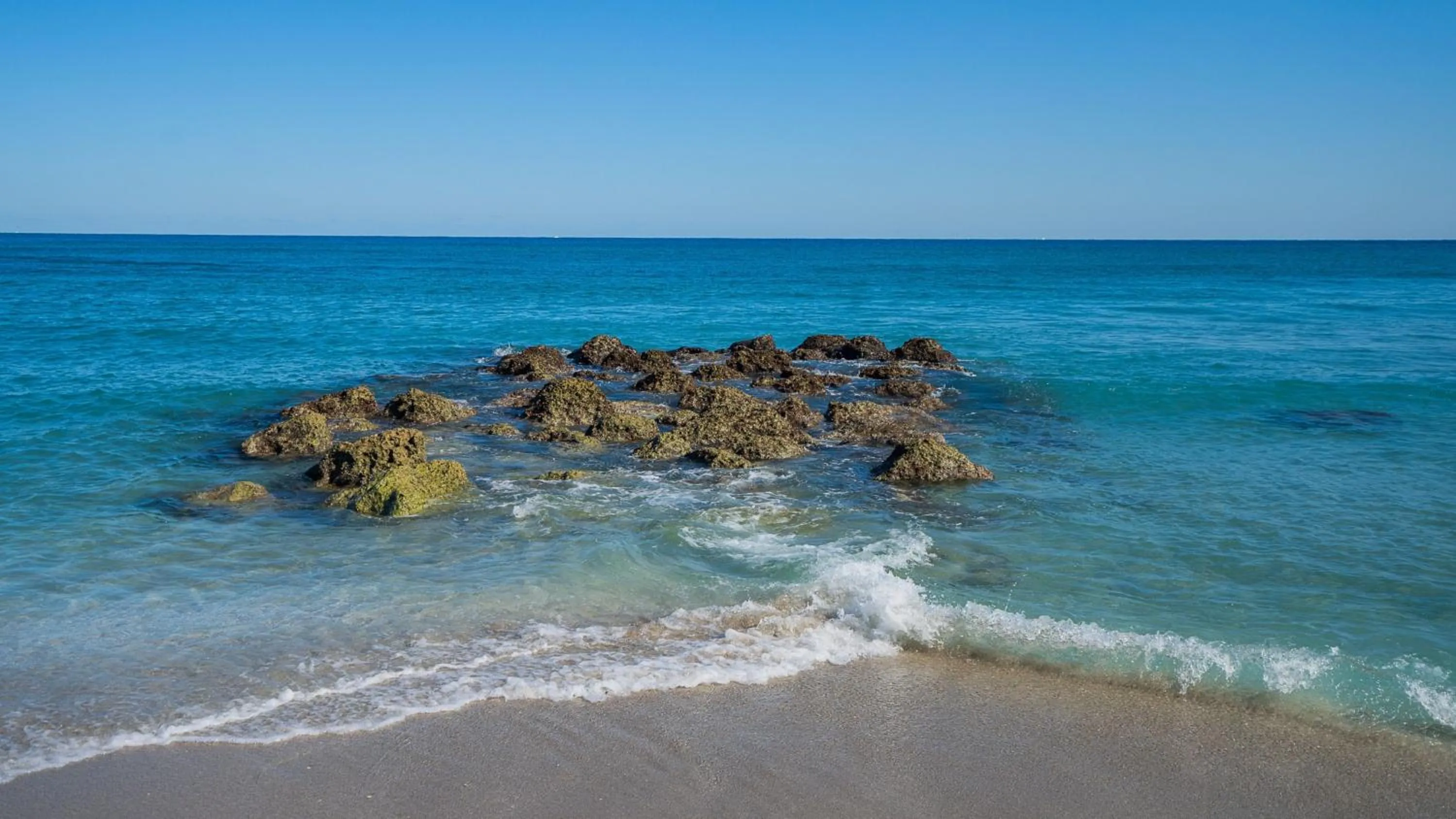 Nearby landmark in Holiday Inn & Suites Boca Raton - North