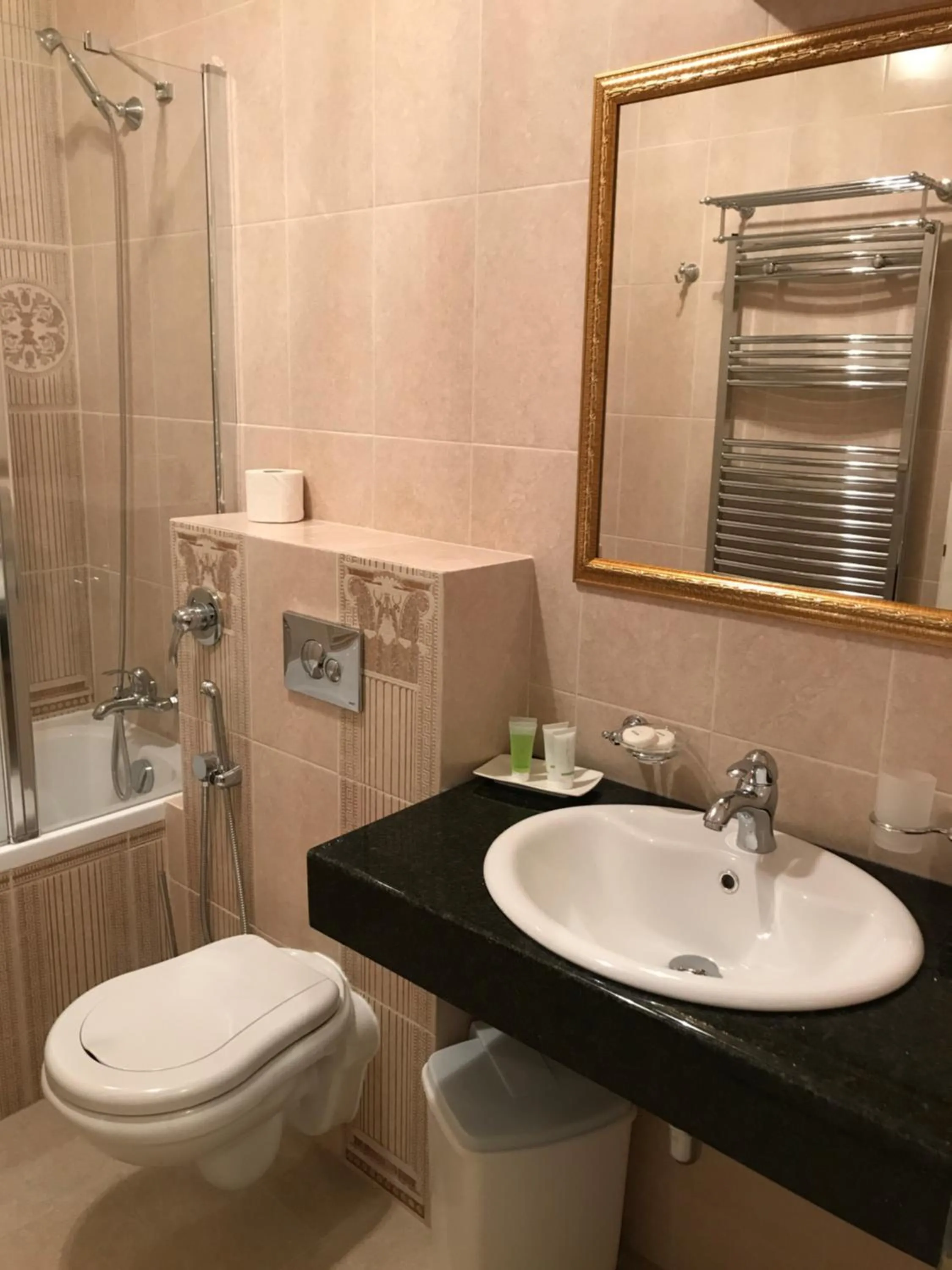 Bathroom in Hotel Saint Petersburg