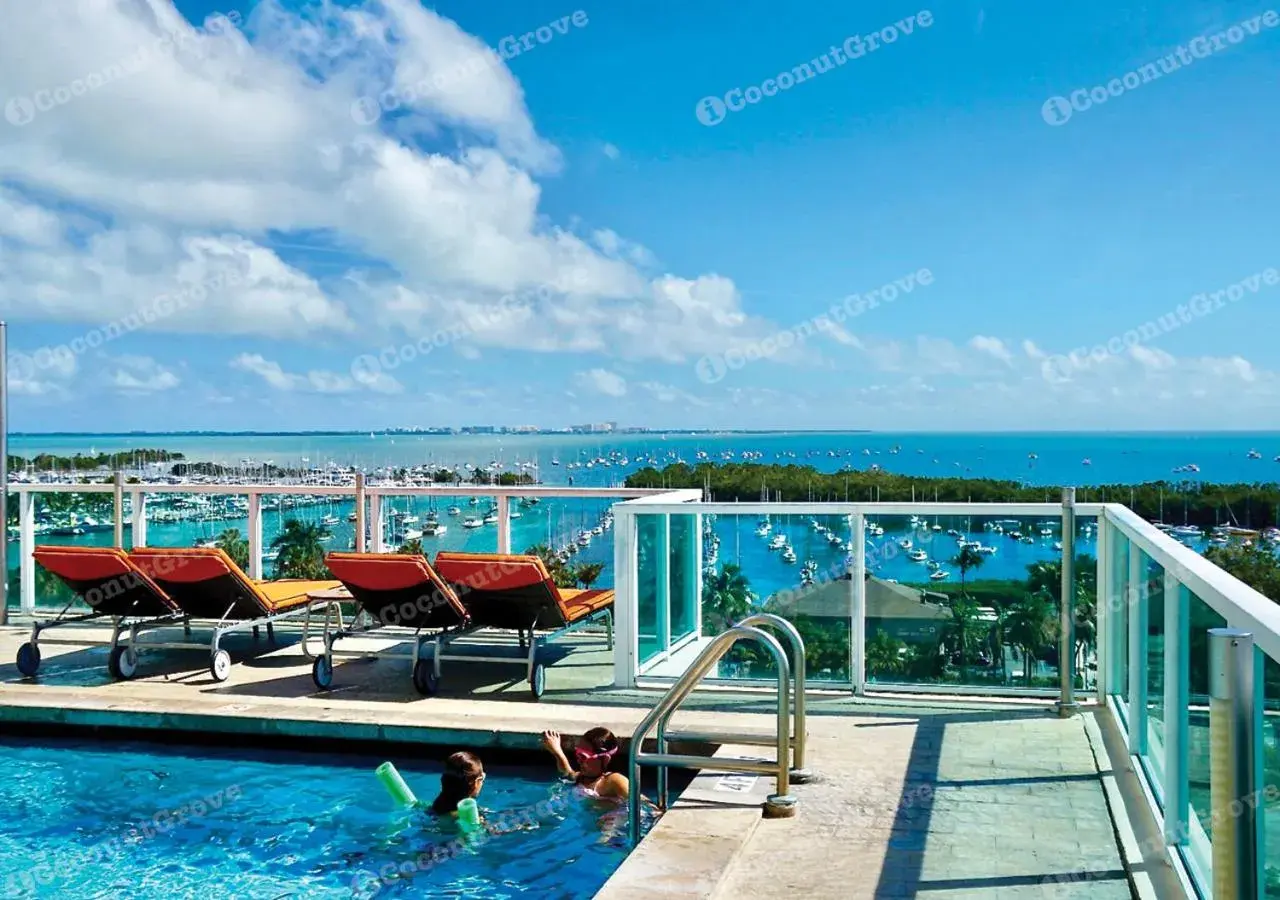 Swimming pool in iCoconutGrove - Luxurious Vacation Rentals in Coconut Grove Swimming pool in iCoconutGrove - Luxurious Vacation Rentals in Coconut Grove