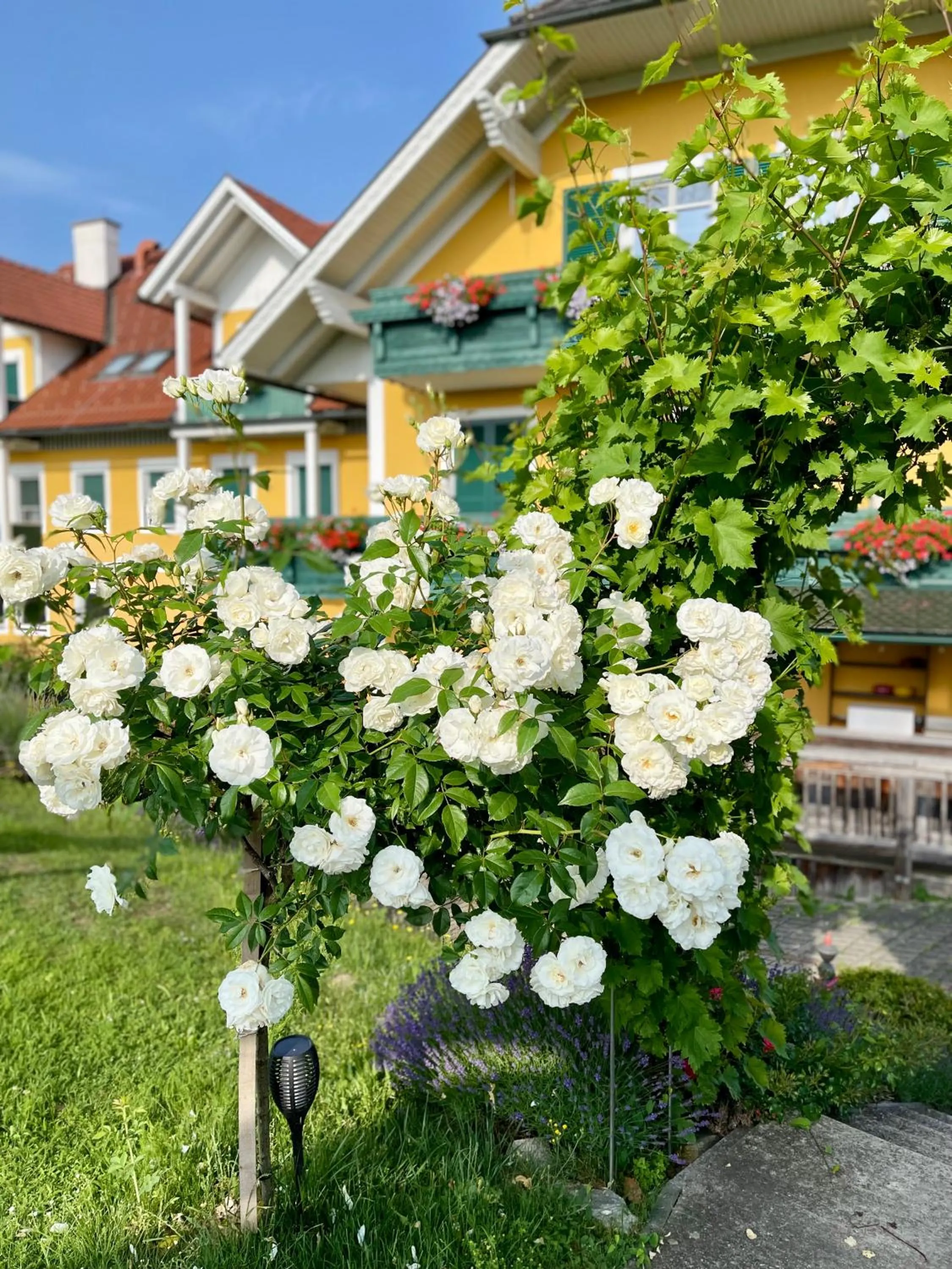 Property building in Panoramahotel Steirerland