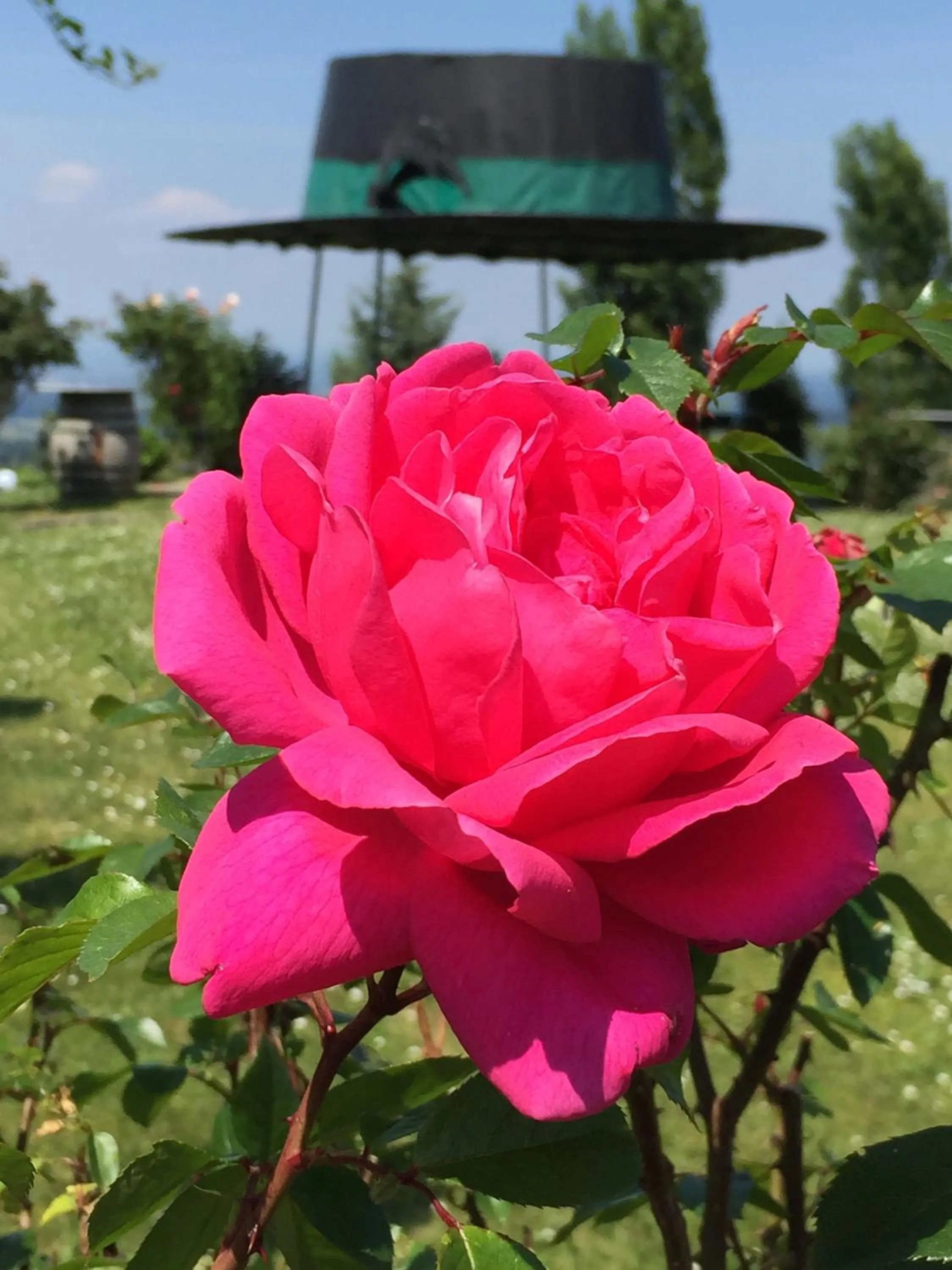 Garden in Panoramahotel Steirerland