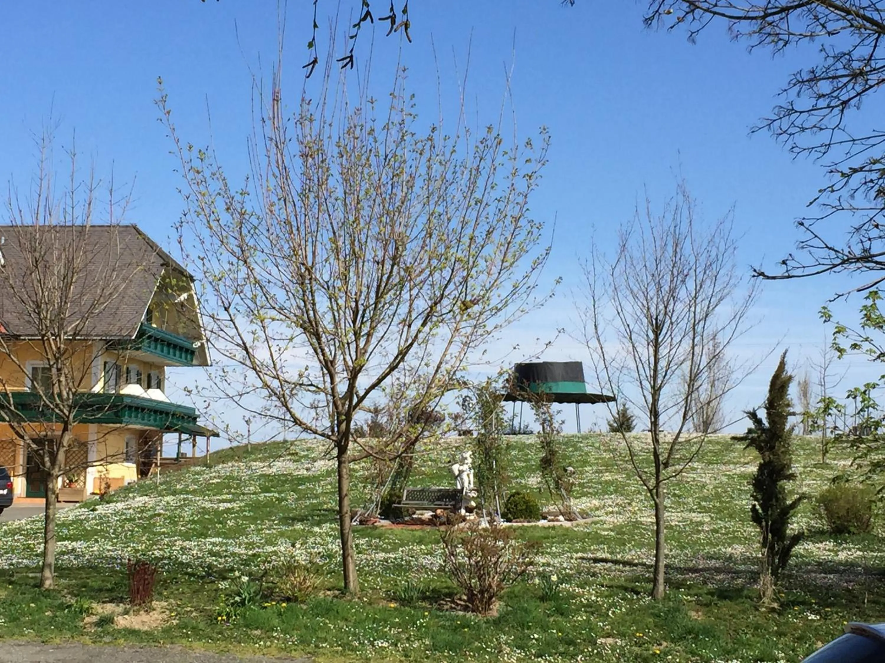 Garden in Panoramahotel Steirerland