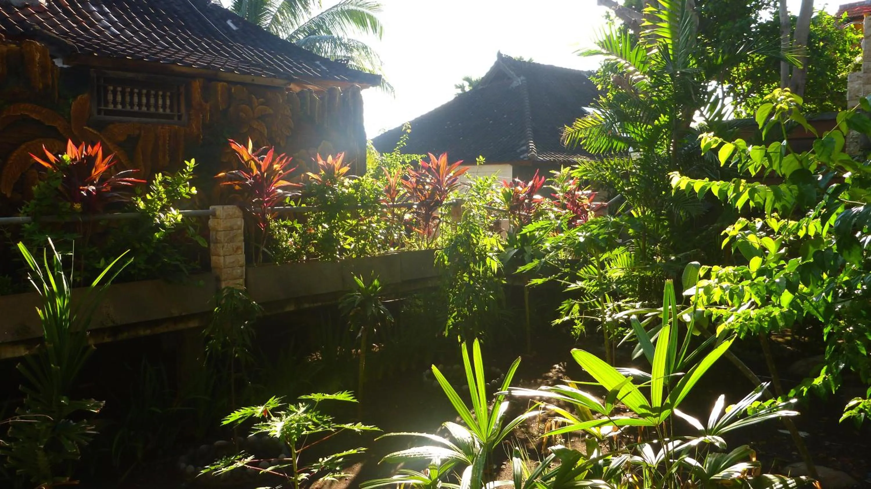 Garden in Amed Cafe & Hotel Kebun Wayan