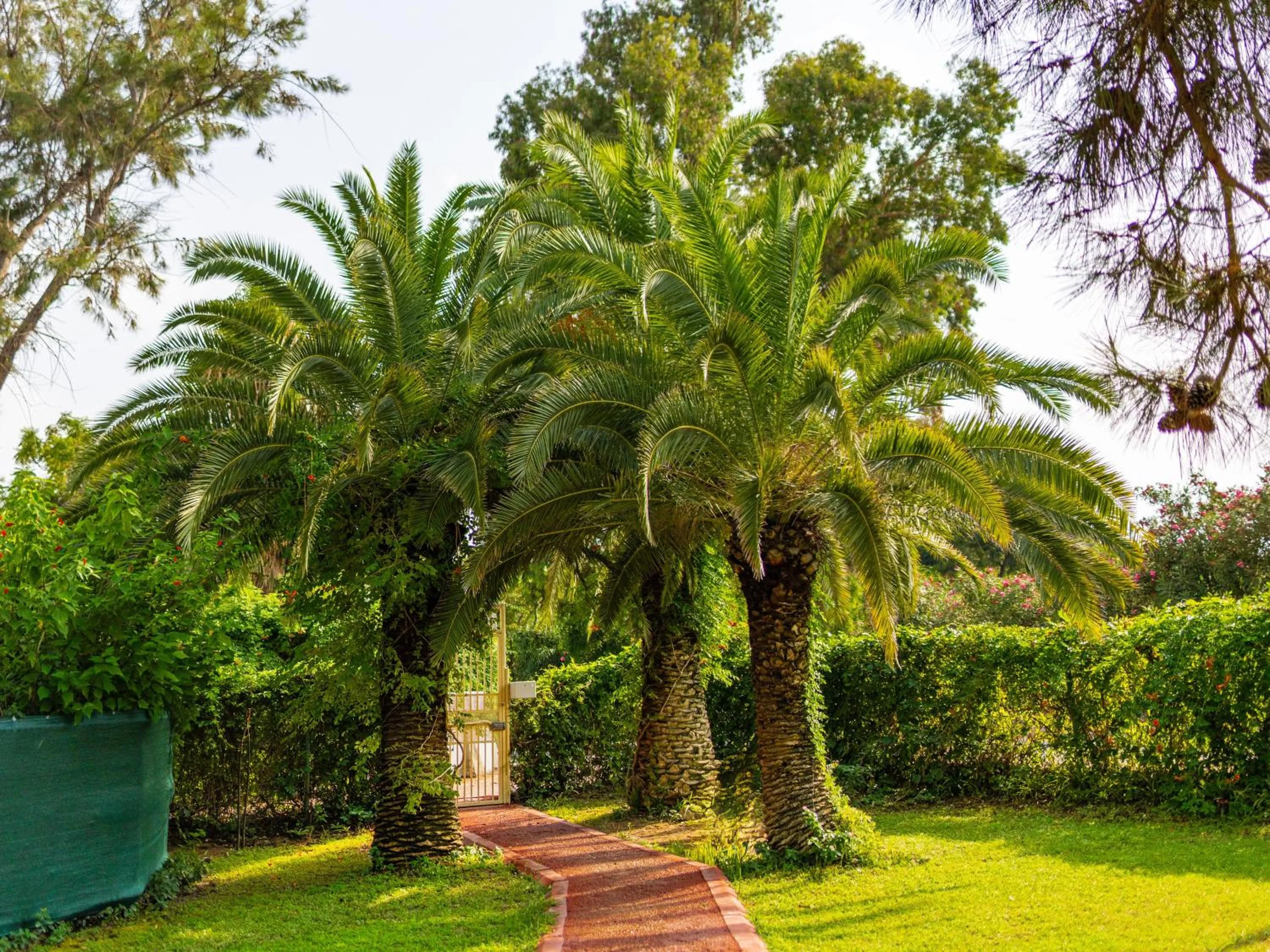 Garden in Labranda Excelsior Hotel