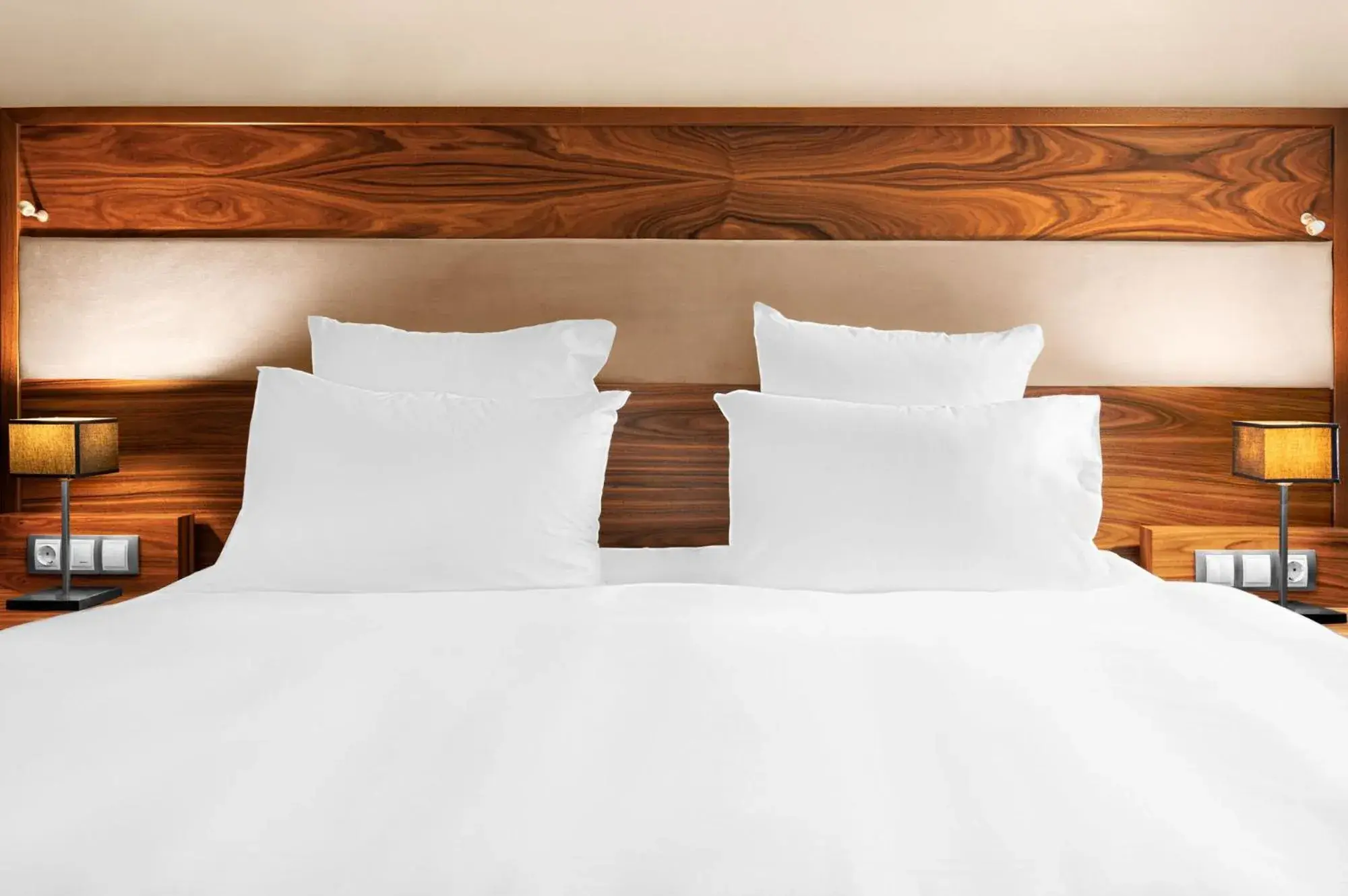 Deluxe King Room - single occupancy in Movenpick hotel Sarajevo Deluxe King Room - single occupancy in Movenpick hotel Sarajevo