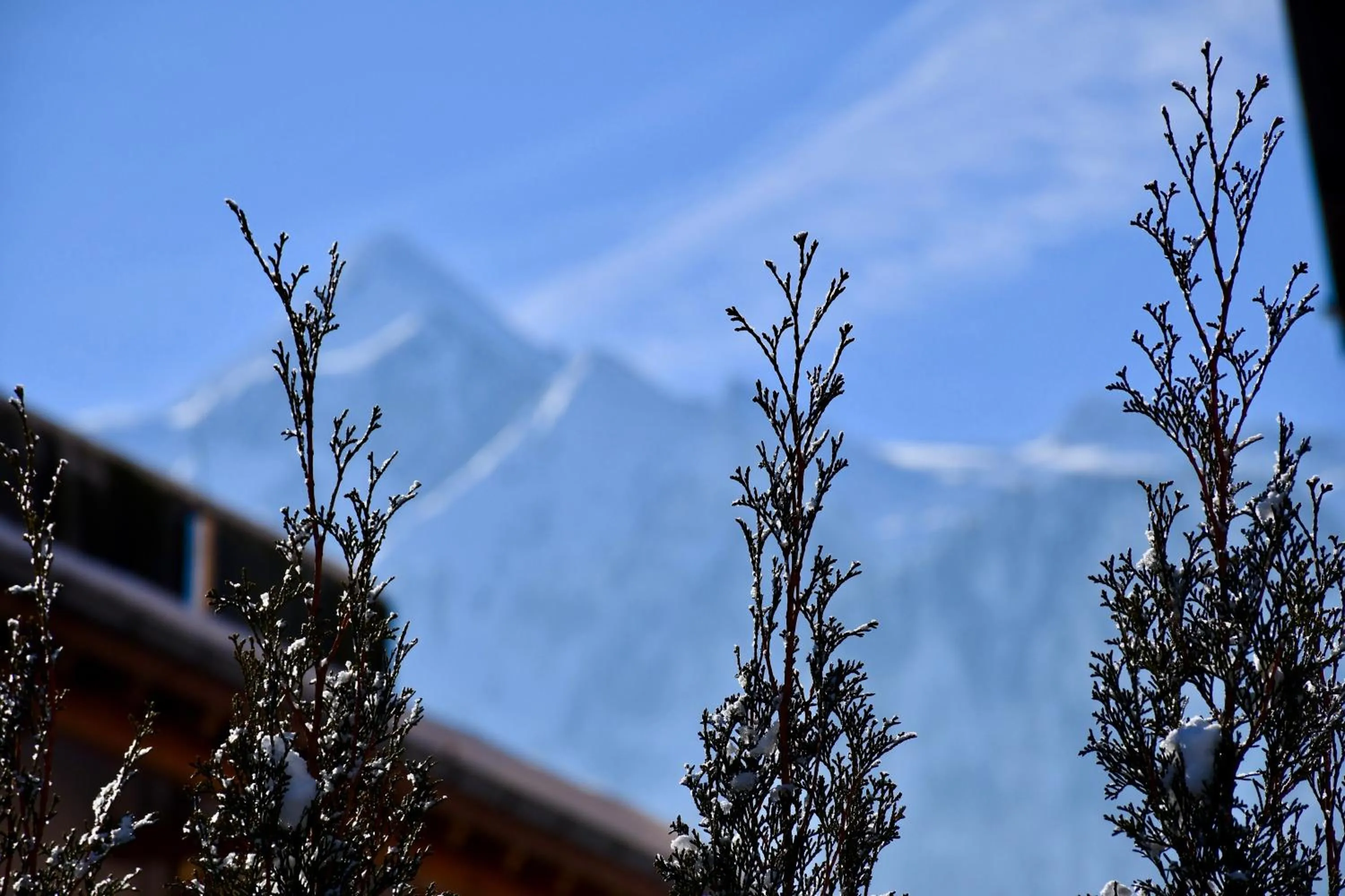 Winter in Boutique Hotel Pinzgauerhof