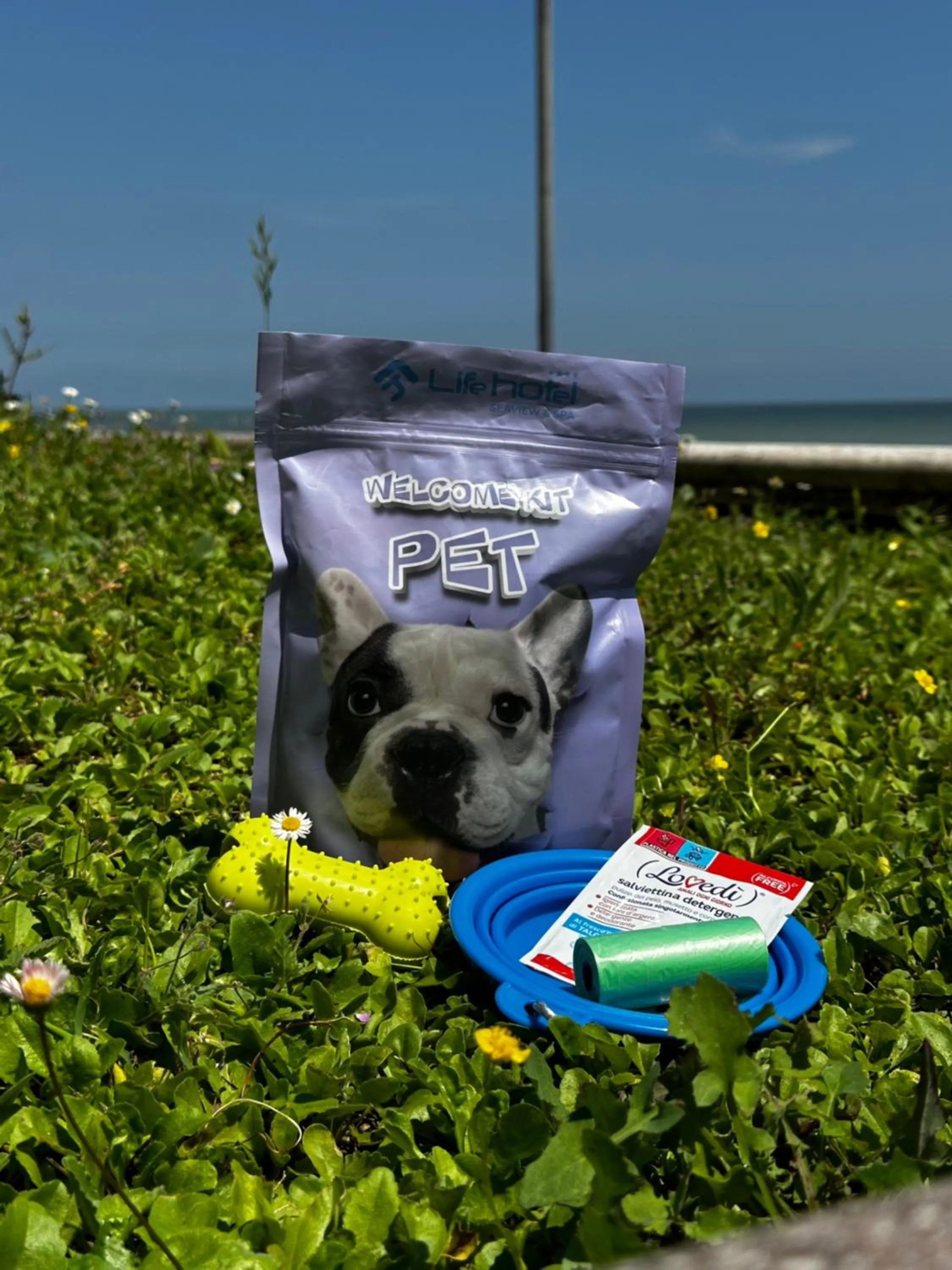 Animals in Life Hotel Seaview & Spa