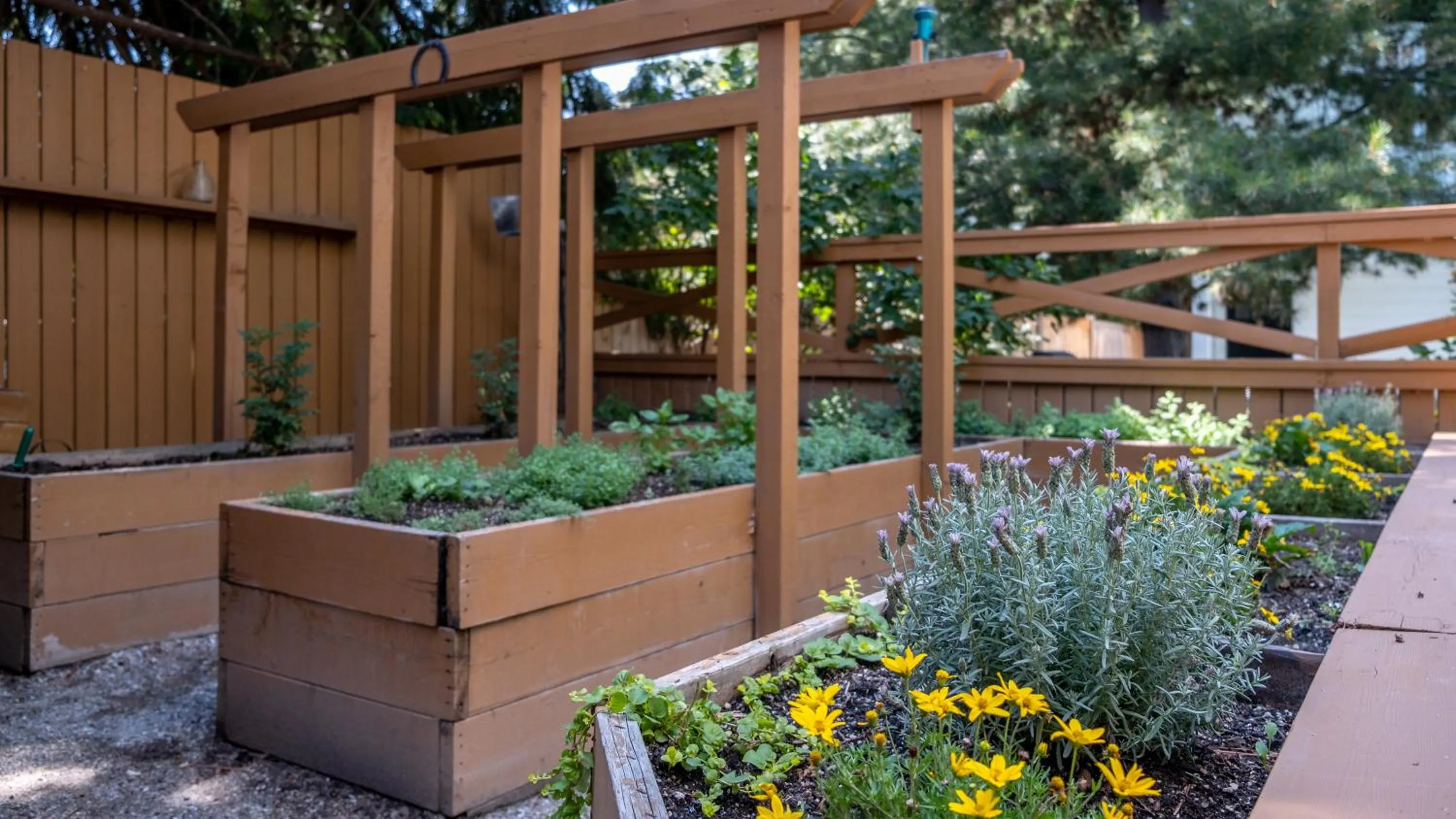 Garden in Kelowna Bed & Breakfast - CHATHAM HOUSE