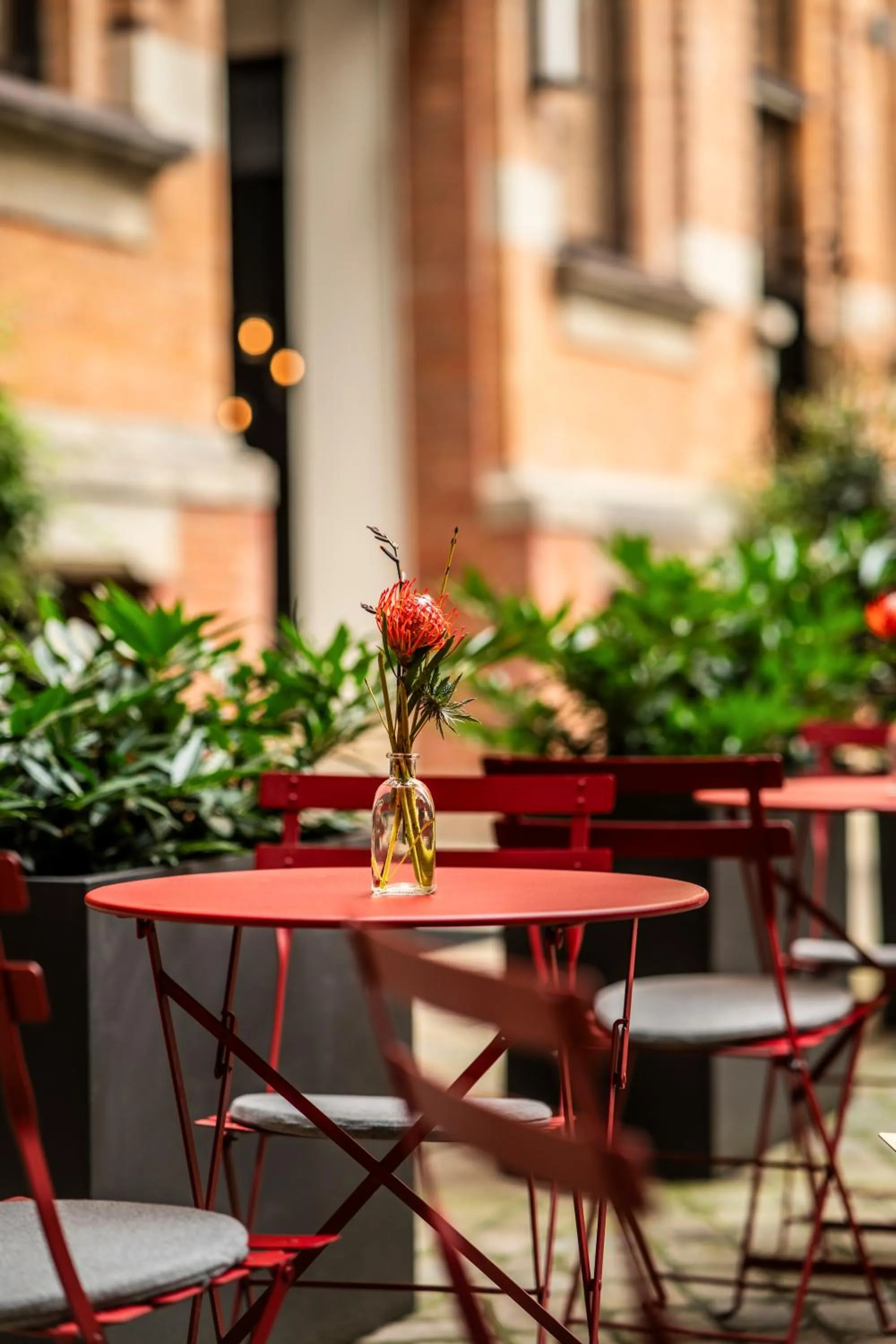 Restaurant/places to eat in TORTUE Hamburg