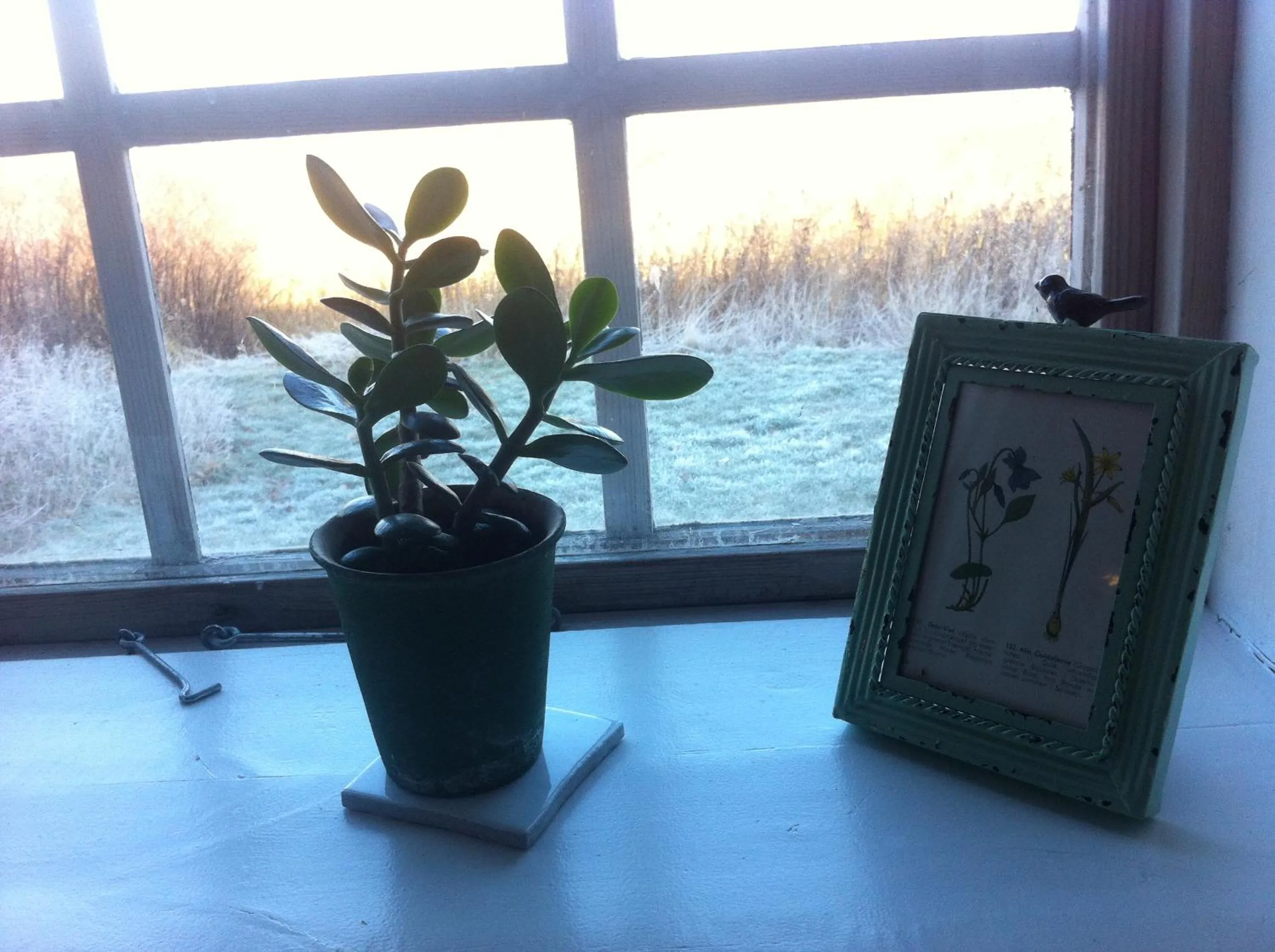 Garden view in Præstøgaard